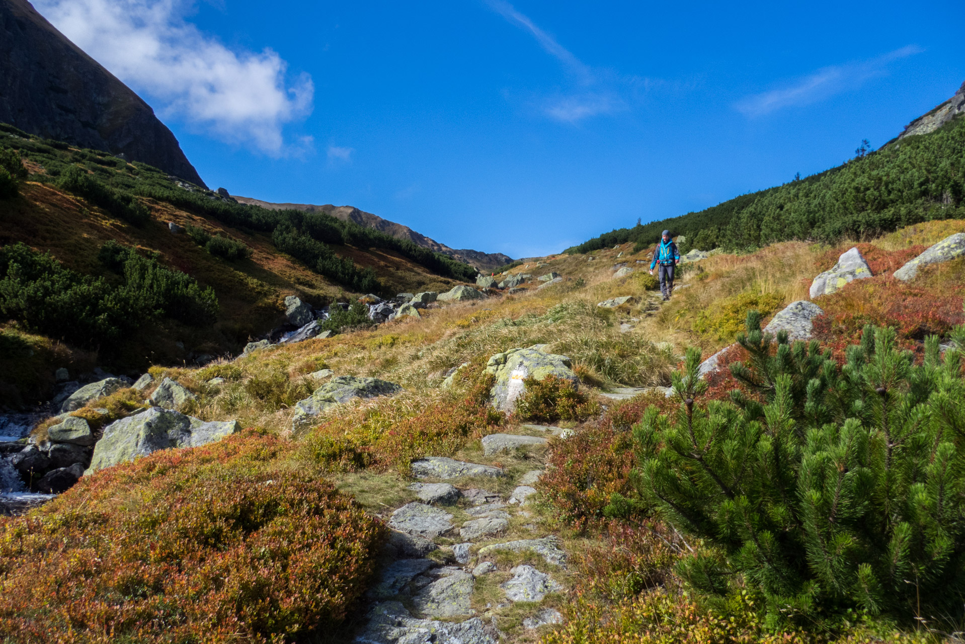 Klin z Račkovej doliny, ATC (Západné Tatry)