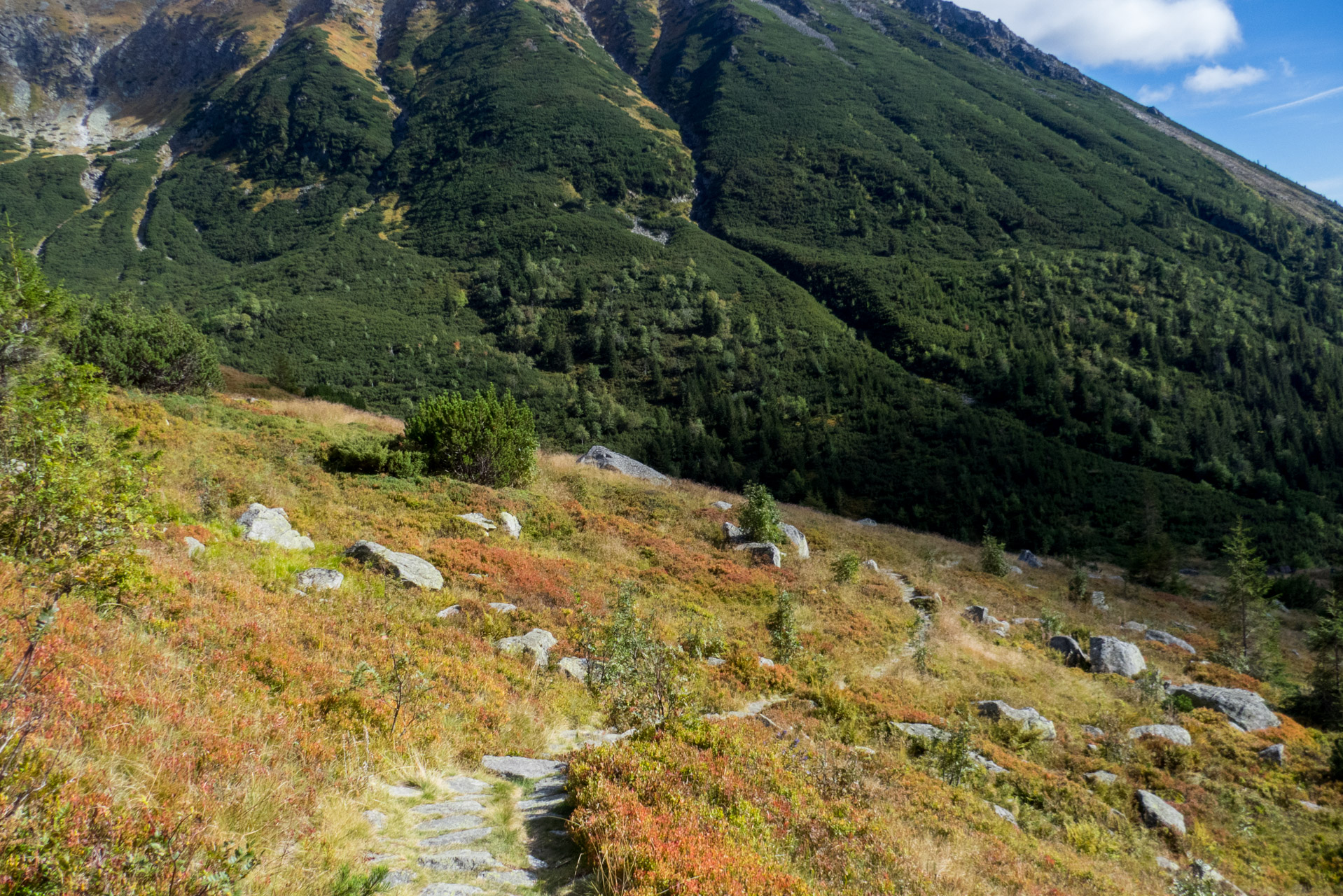 Klin z Račkovej doliny, ATC (Západné Tatry)