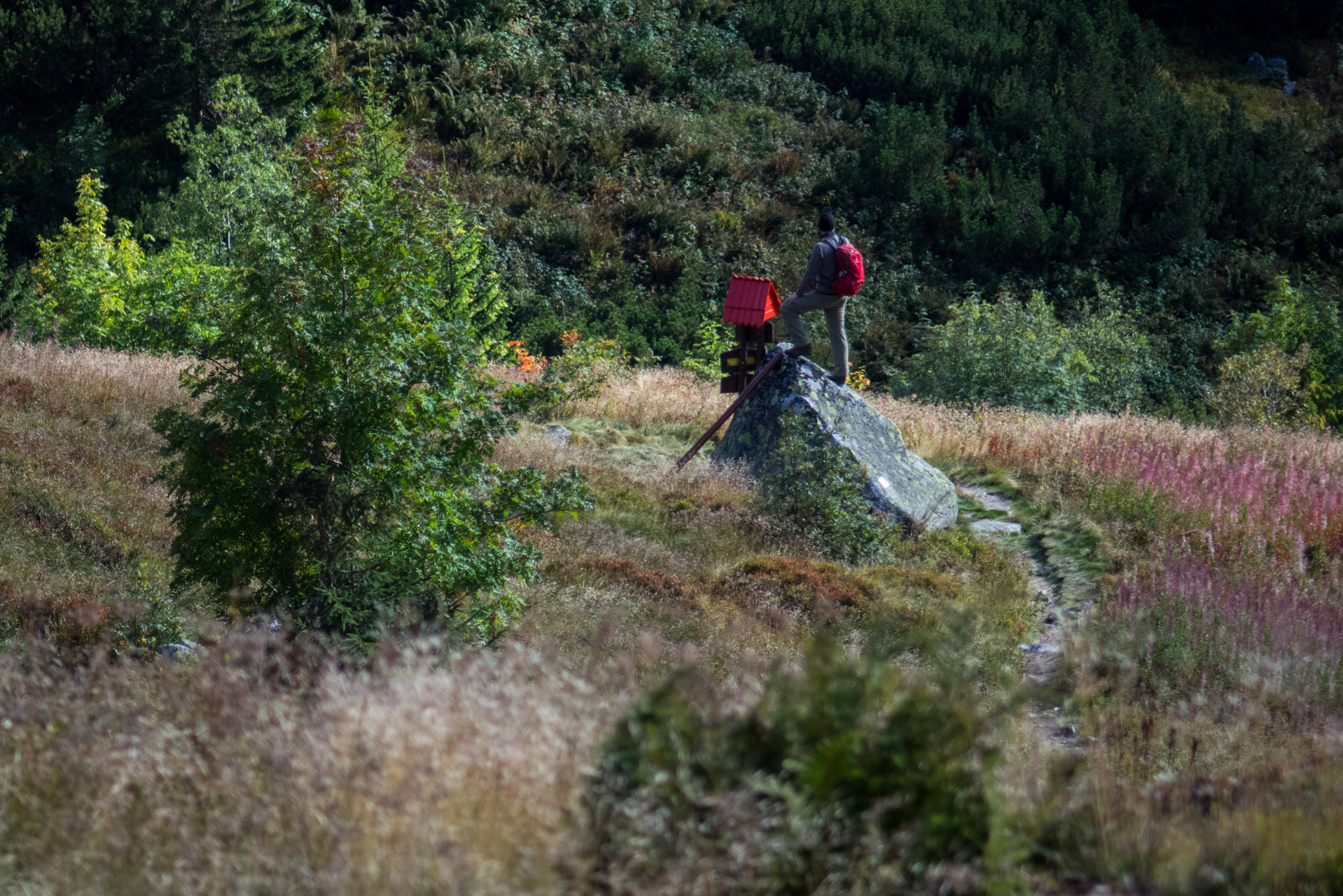 Klin z Račkovej doliny, ATC (Západné Tatry)