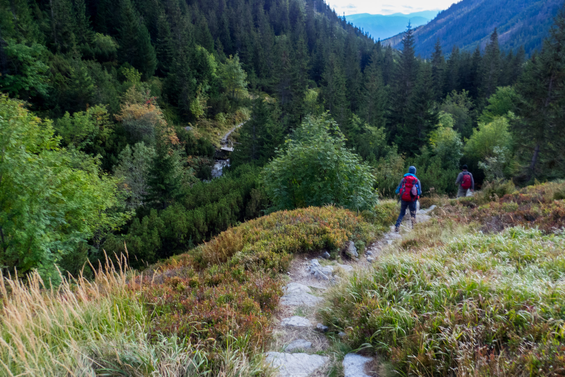 Klin z Račkovej doliny, ATC (Západné Tatry)