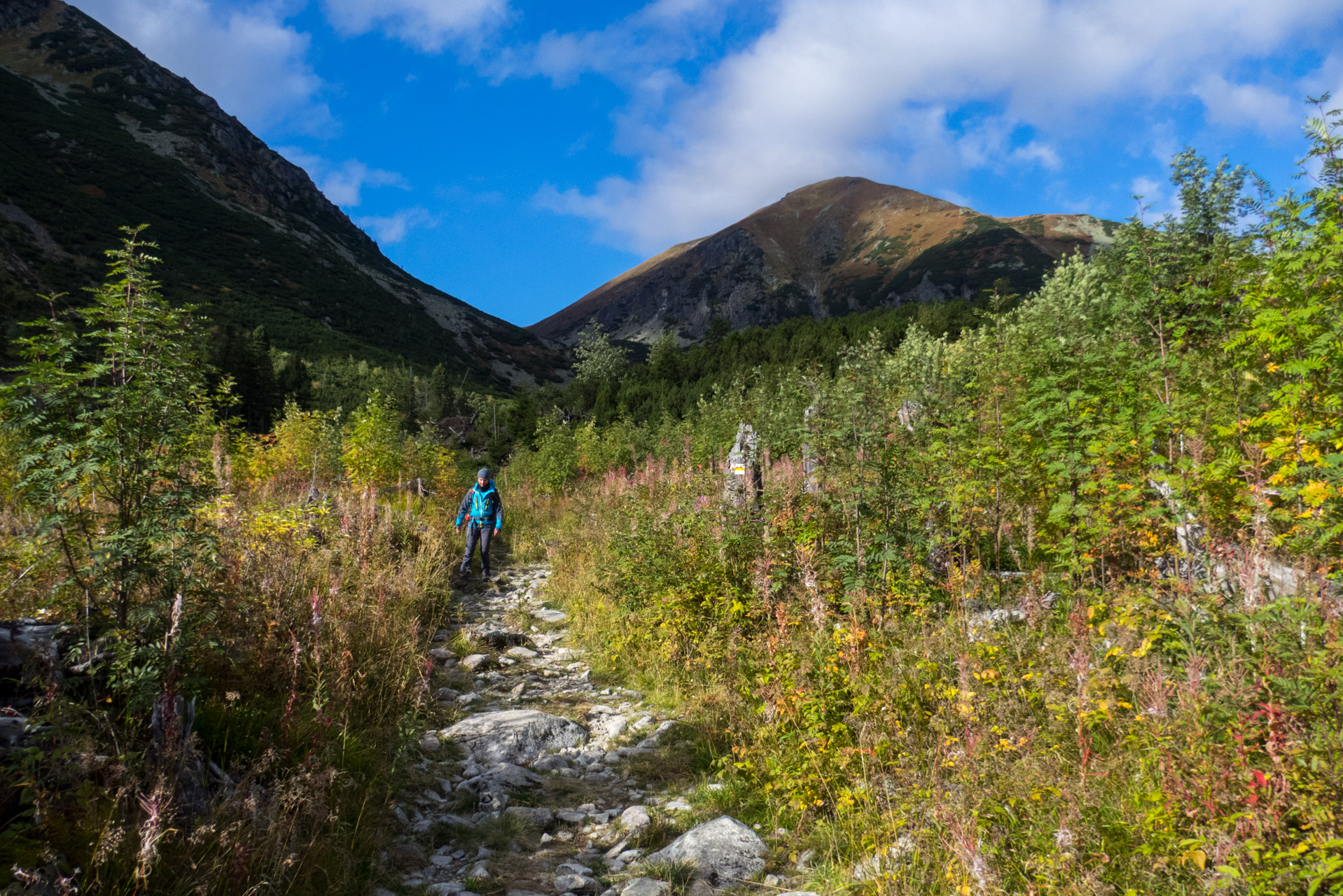 Klin z Račkovej doliny, ATC (Západné Tatry)