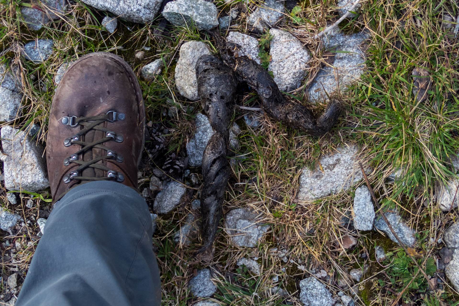 Klin z Račkovej doliny, ATC (Západné Tatry)