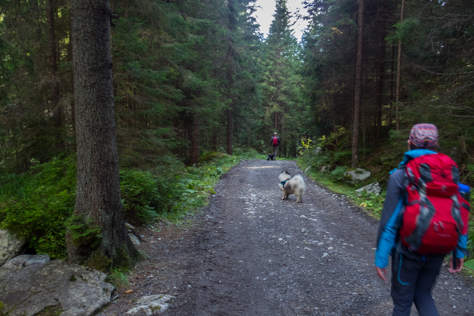 Klin z Račkovej doliny, ATC (Západné Tatry)