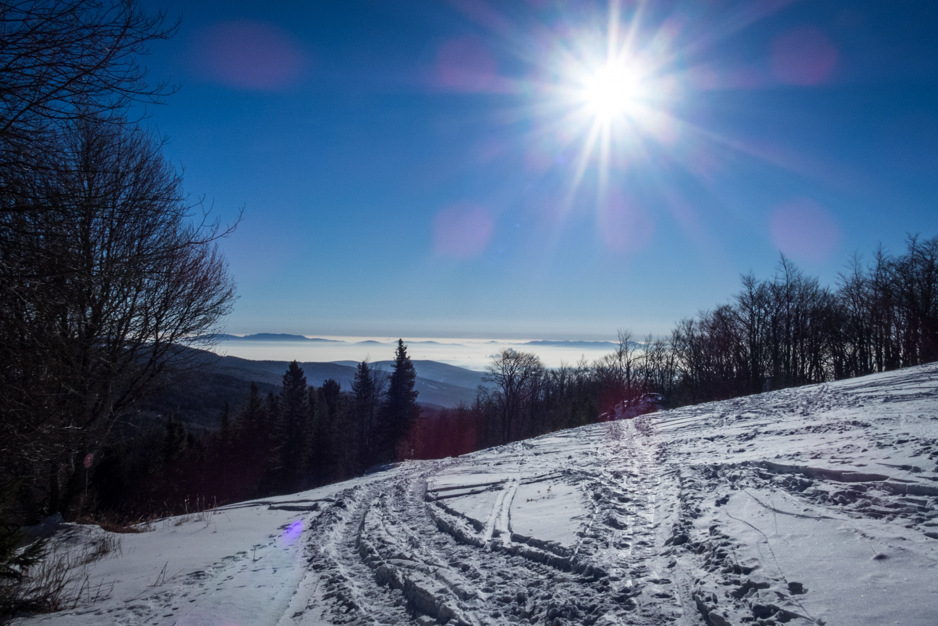 Kojšovská hoľa zo Zlatej Idky v zime (Volovské vrchy)