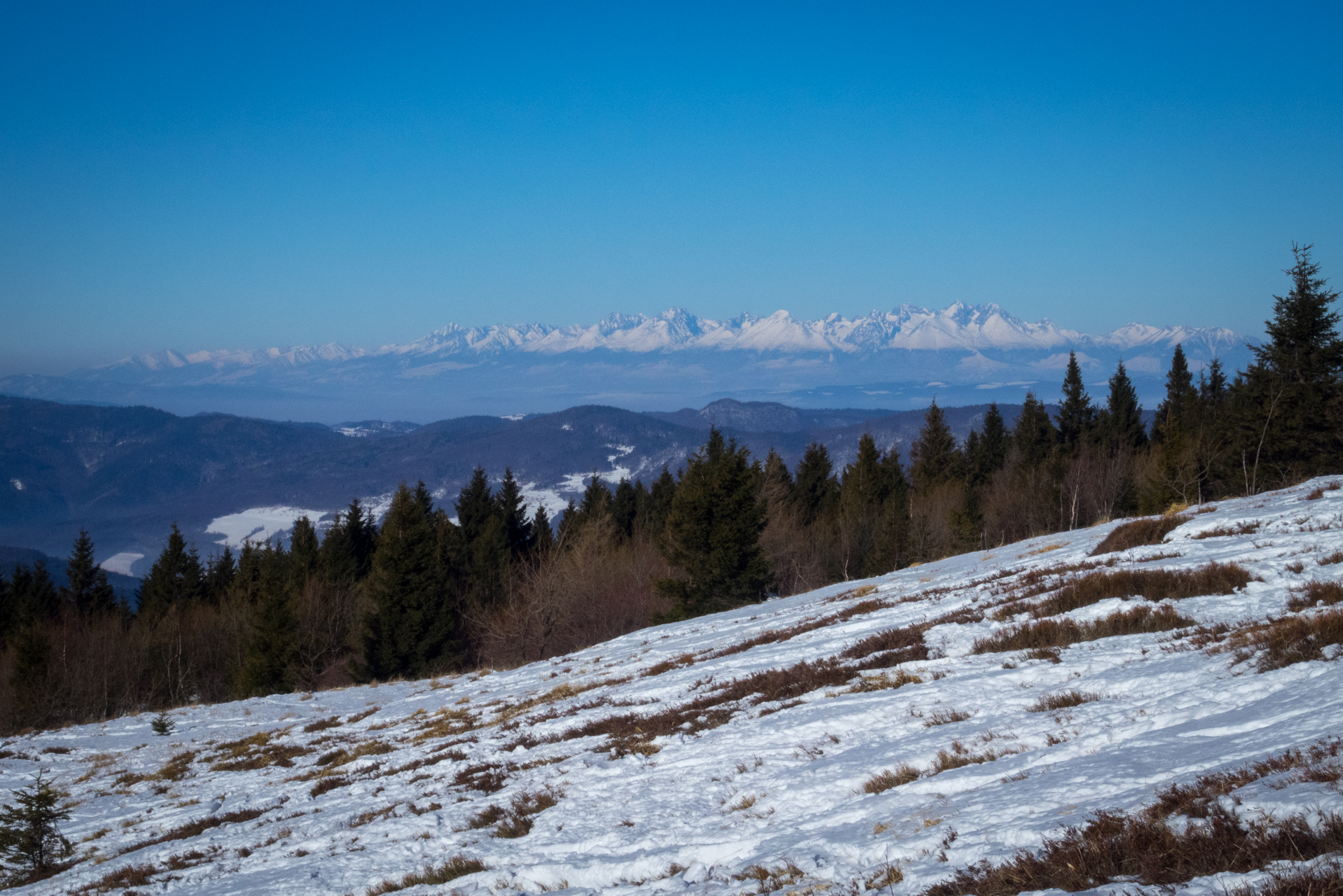 Kojšovská hoľa zo Zlatej Idky v zime (Volovské vrchy)