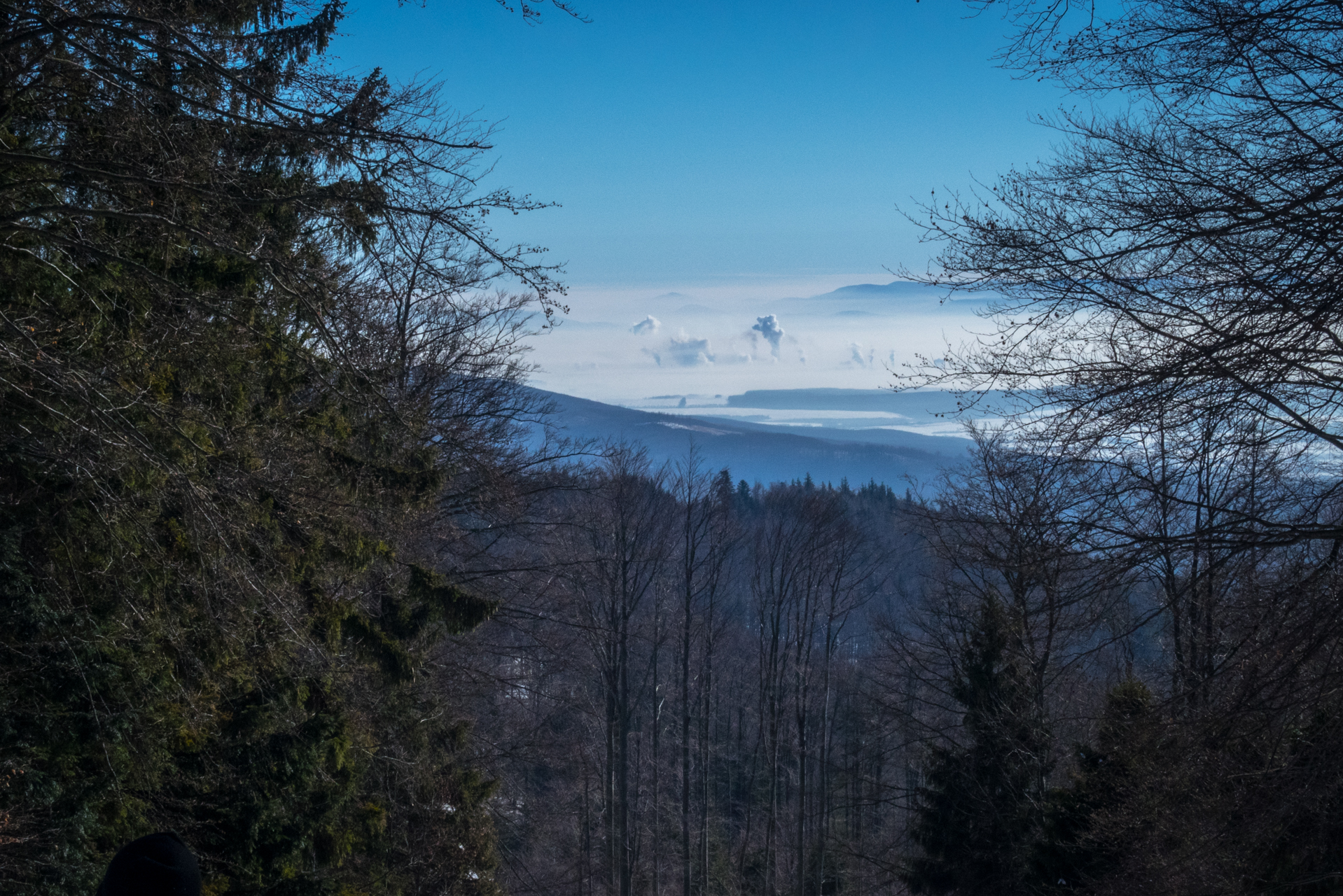 Kojšovská hoľa zo Zlatej Idky v zime (Volovské vrchy)