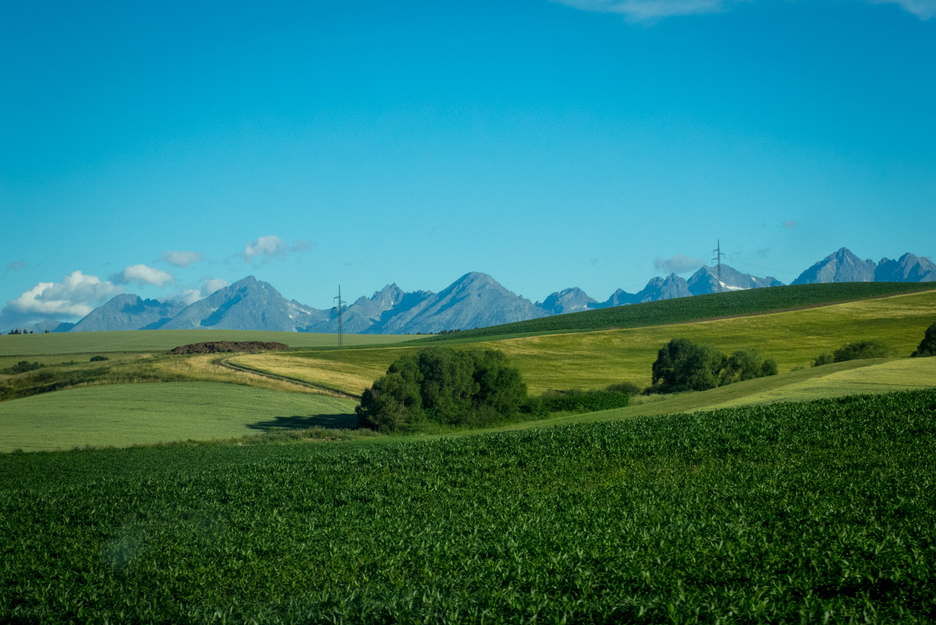 Krakova hoľa od ATC Bystrina (Nízke Tatry)