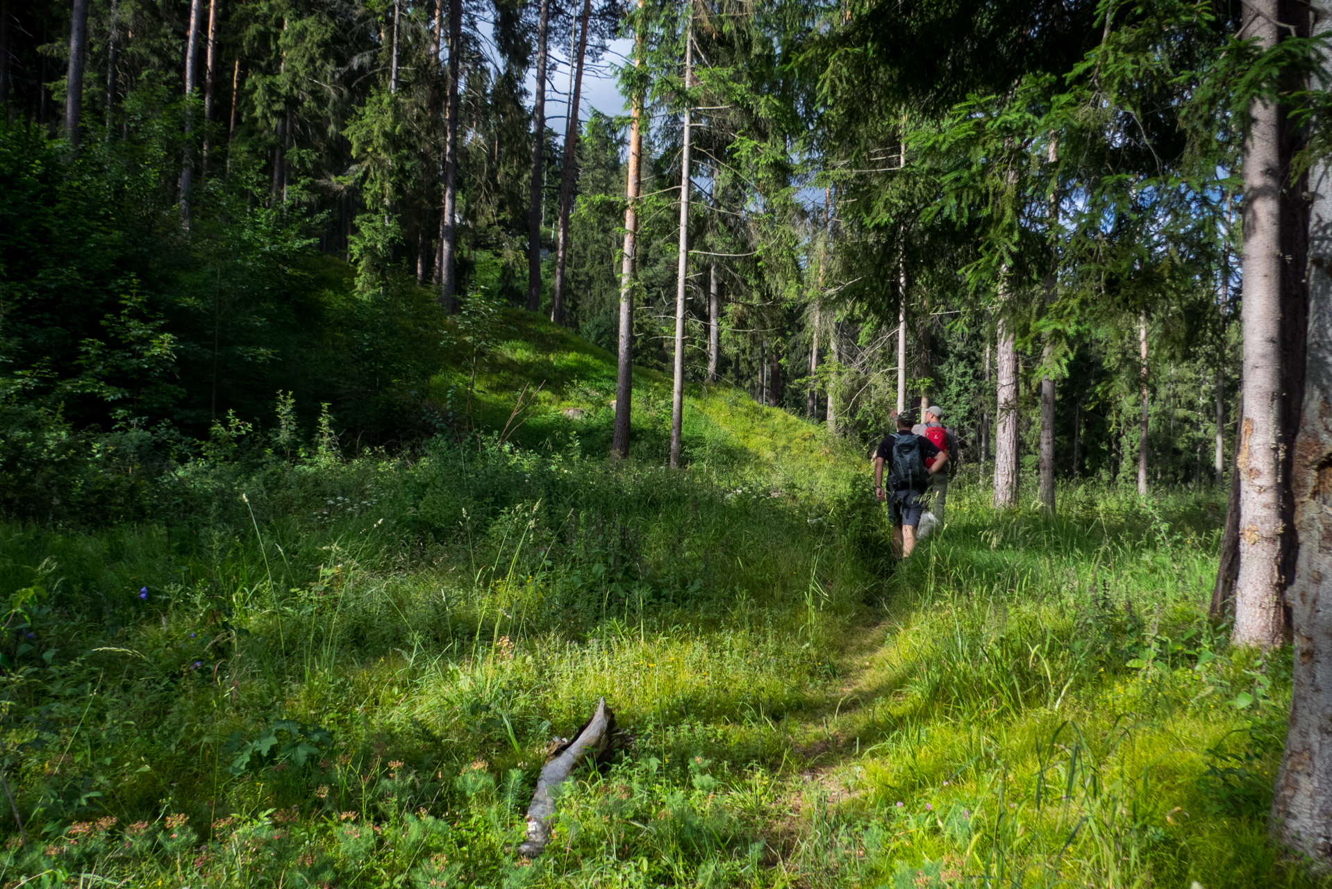 Krakova hoľa od ATC Bystrina (Nízke Tatry)