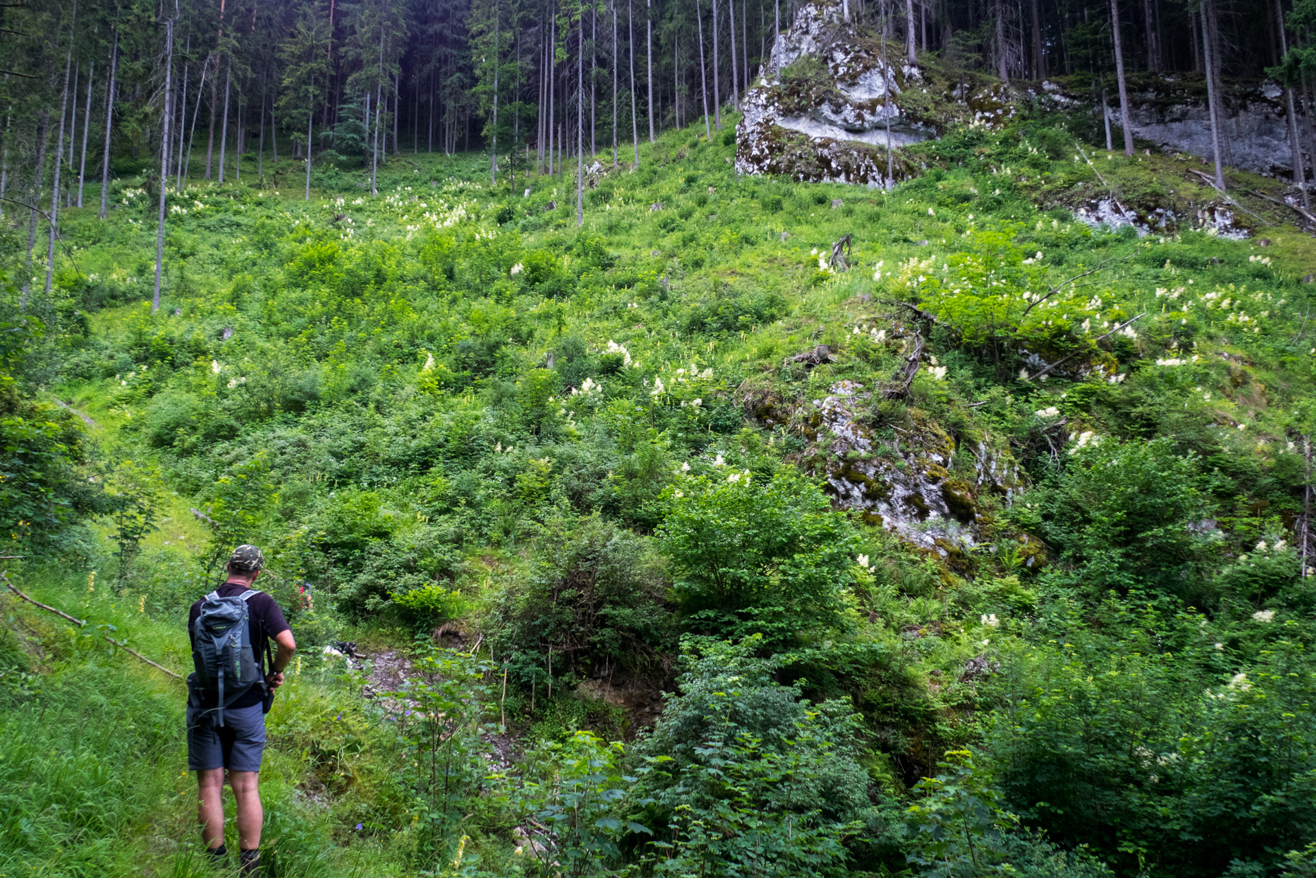 Krakova hoľa od ATC Bystrina (Nízke Tatry)