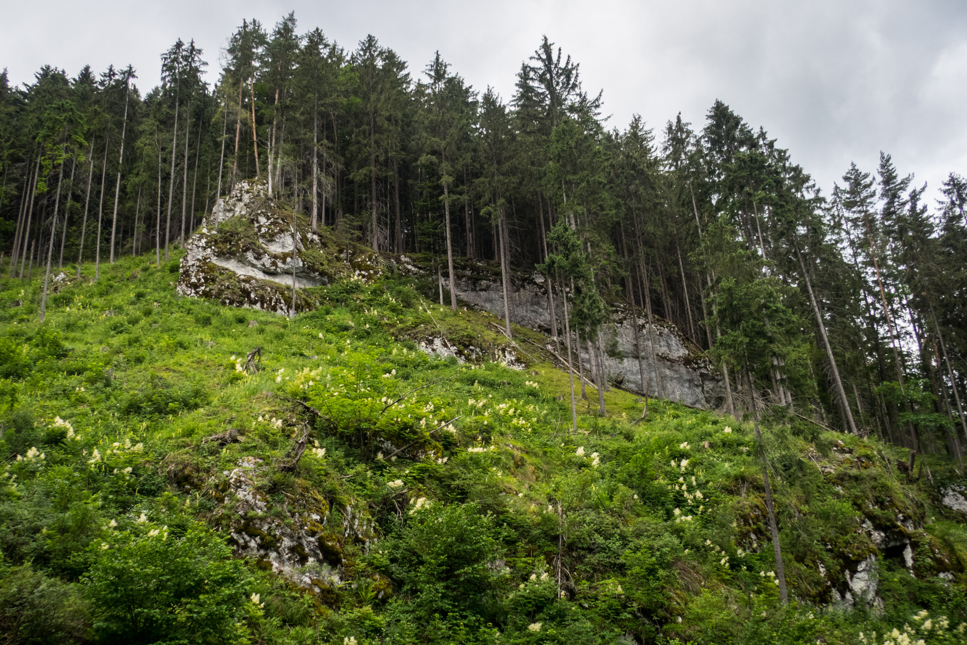 Krakova hoľa od ATC Bystrina (Nízke Tatry)