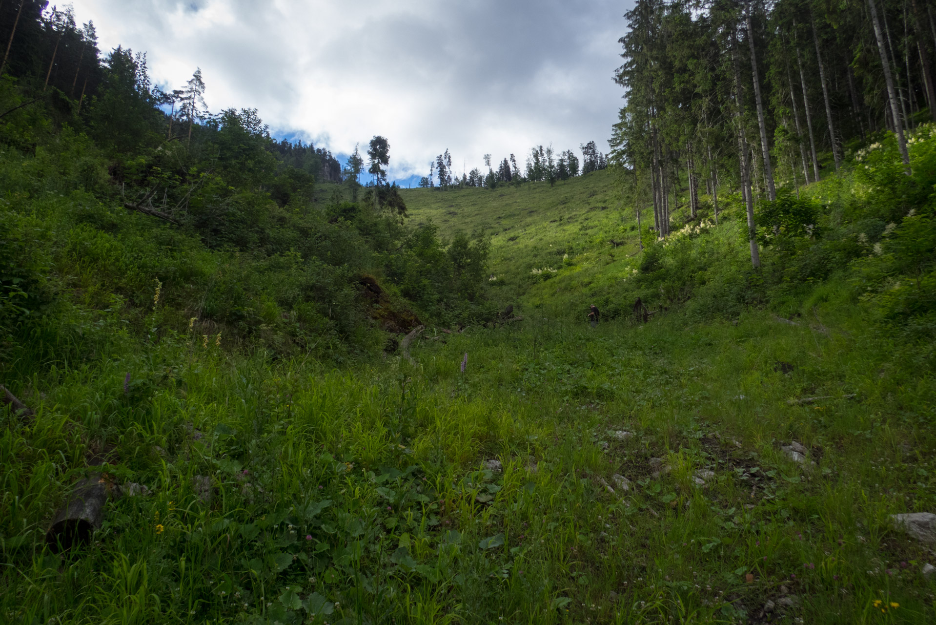 Krakova hoľa od ATC Bystrina (Nízke Tatry)