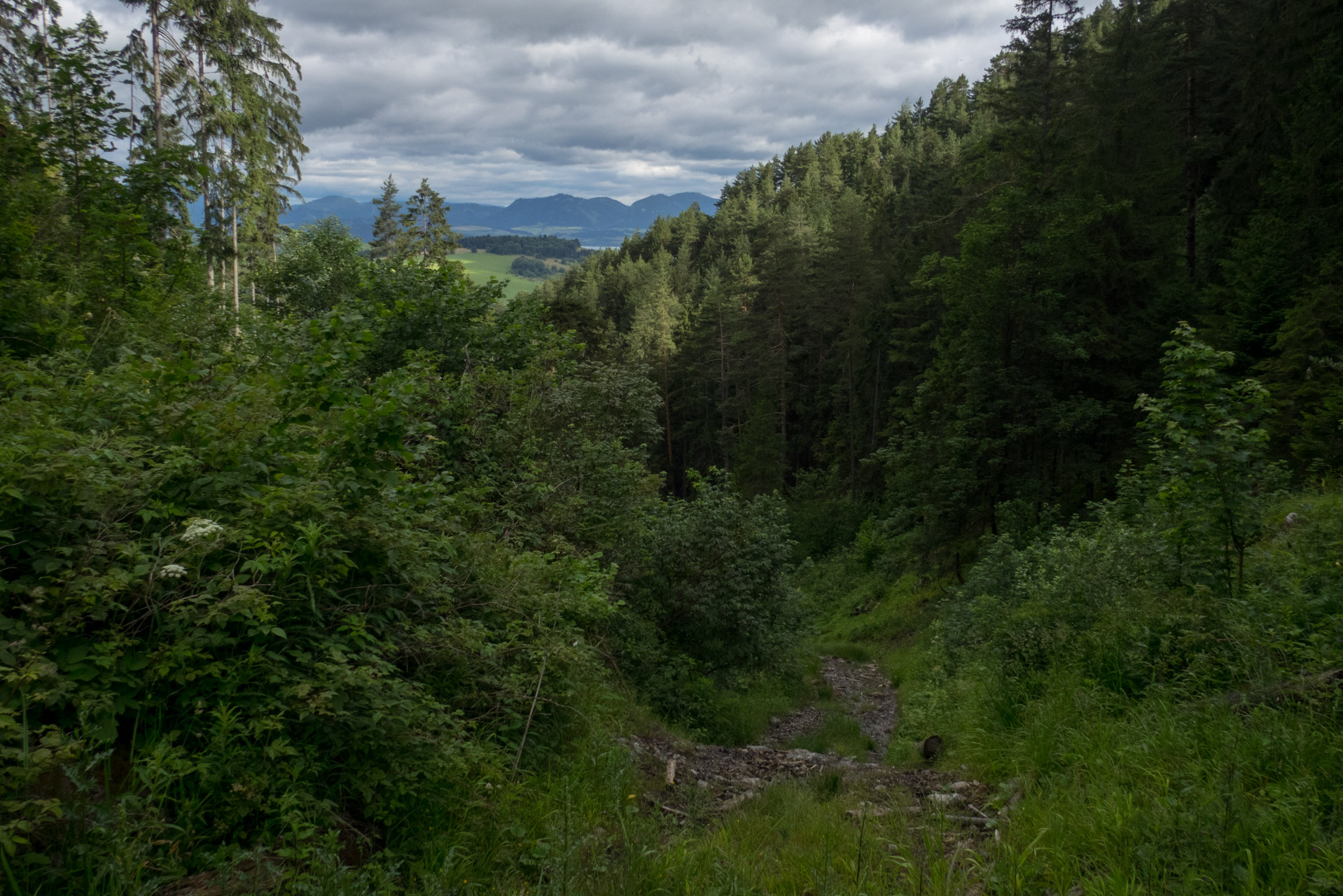 Krakova hoľa od ATC Bystrina (Nízke Tatry)