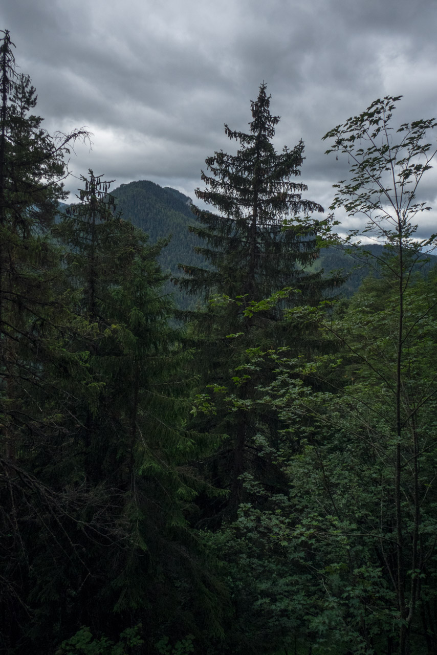 Krakova hoľa od ATC Bystrina (Nízke Tatry)