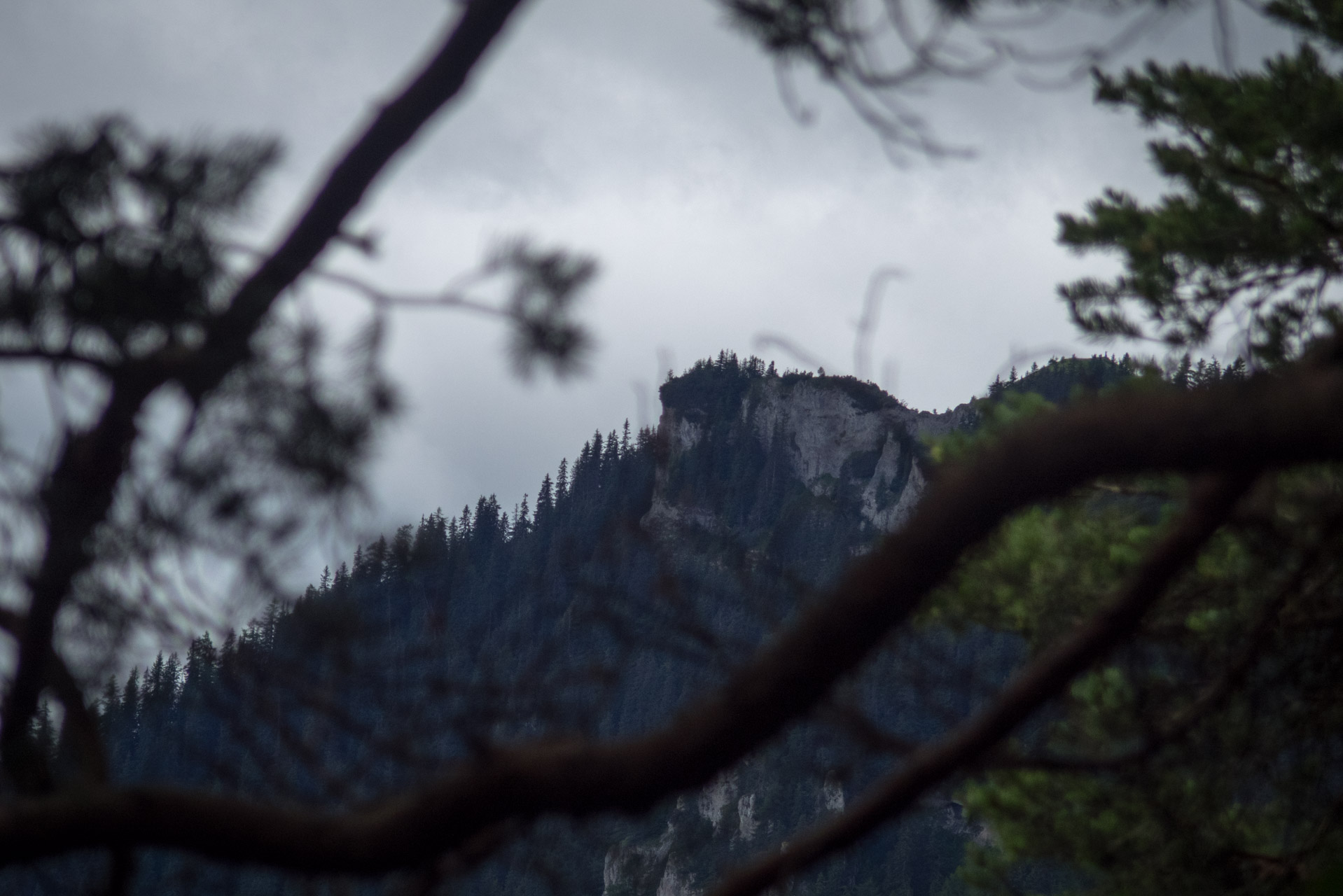 Krakova hoľa od ATC Bystrina (Nízke Tatry)