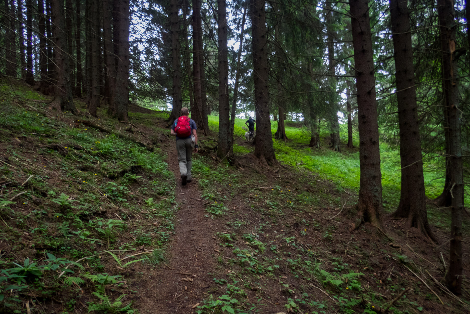 Krakova hoľa od ATC Bystrina (Nízke Tatry)