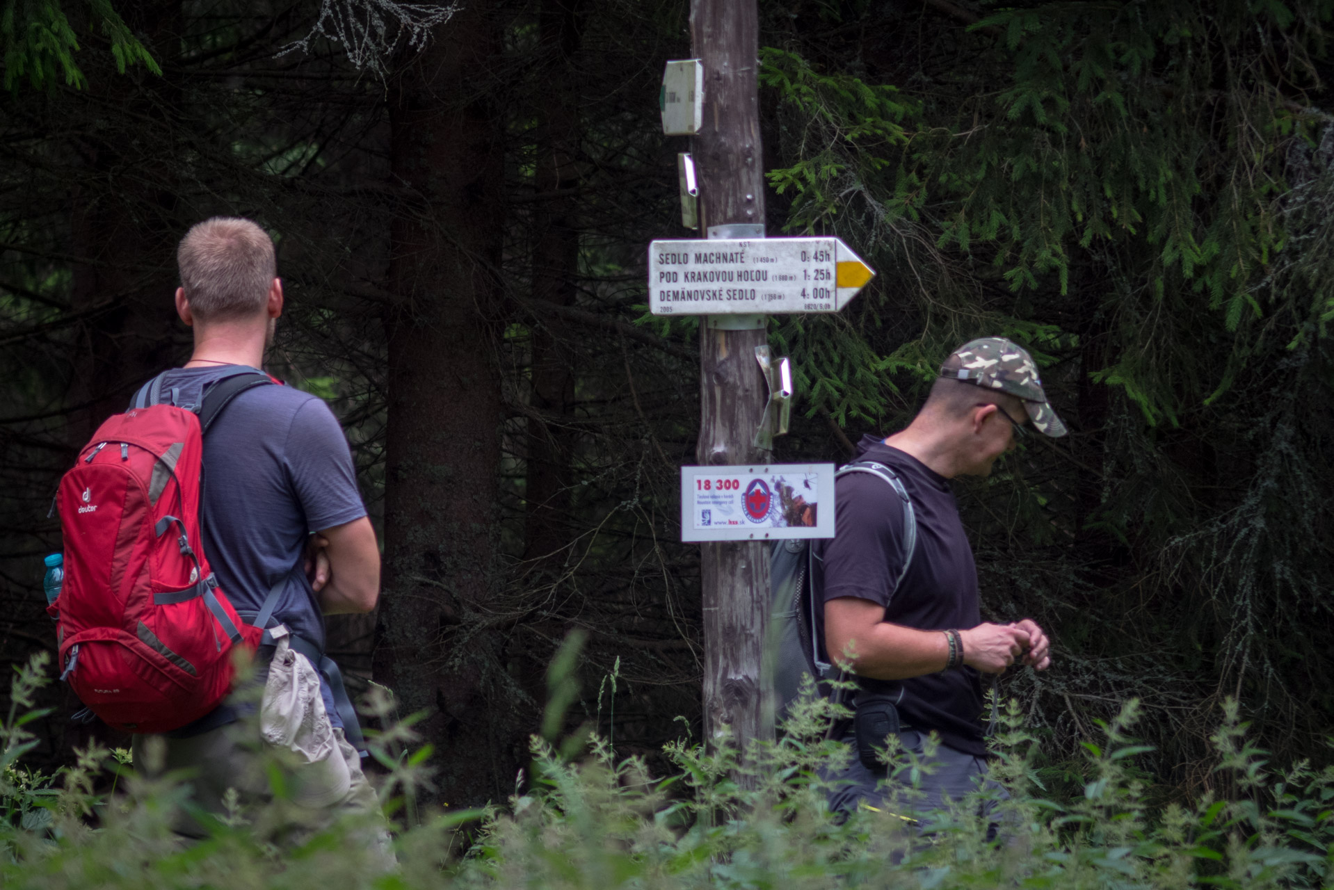 Krakova hoľa od ATC Bystrina (Nízke Tatry)