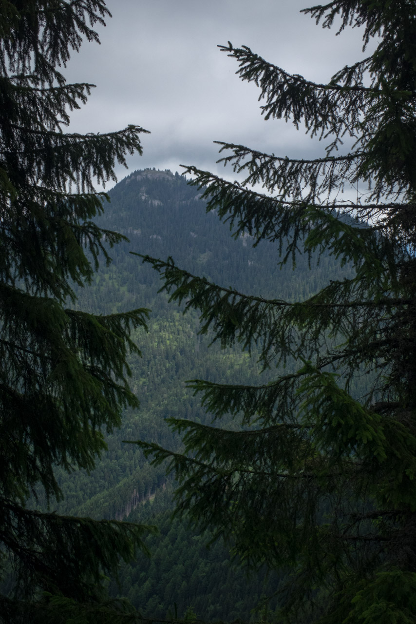 Krakova hoľa od ATC Bystrina (Nízke Tatry)