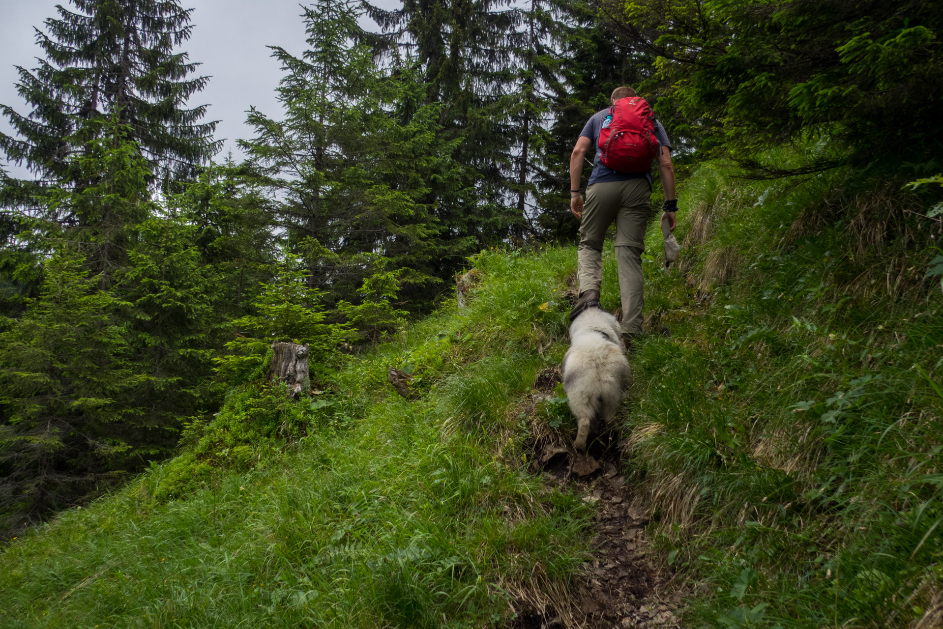 Krakova hoľa od ATC Bystrina (Nízke Tatry)