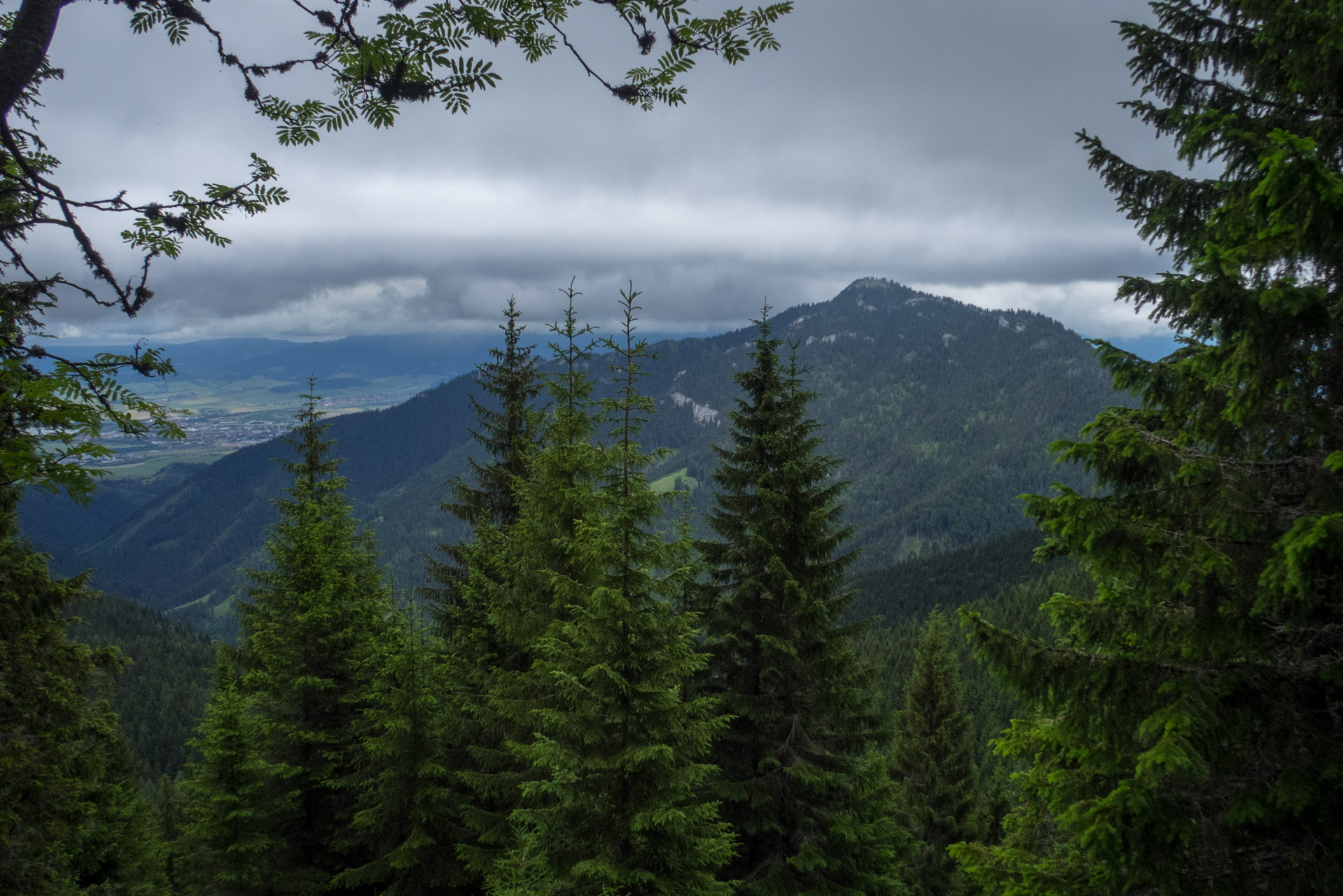 Krakova hoľa od ATC Bystrina (Nízke Tatry)