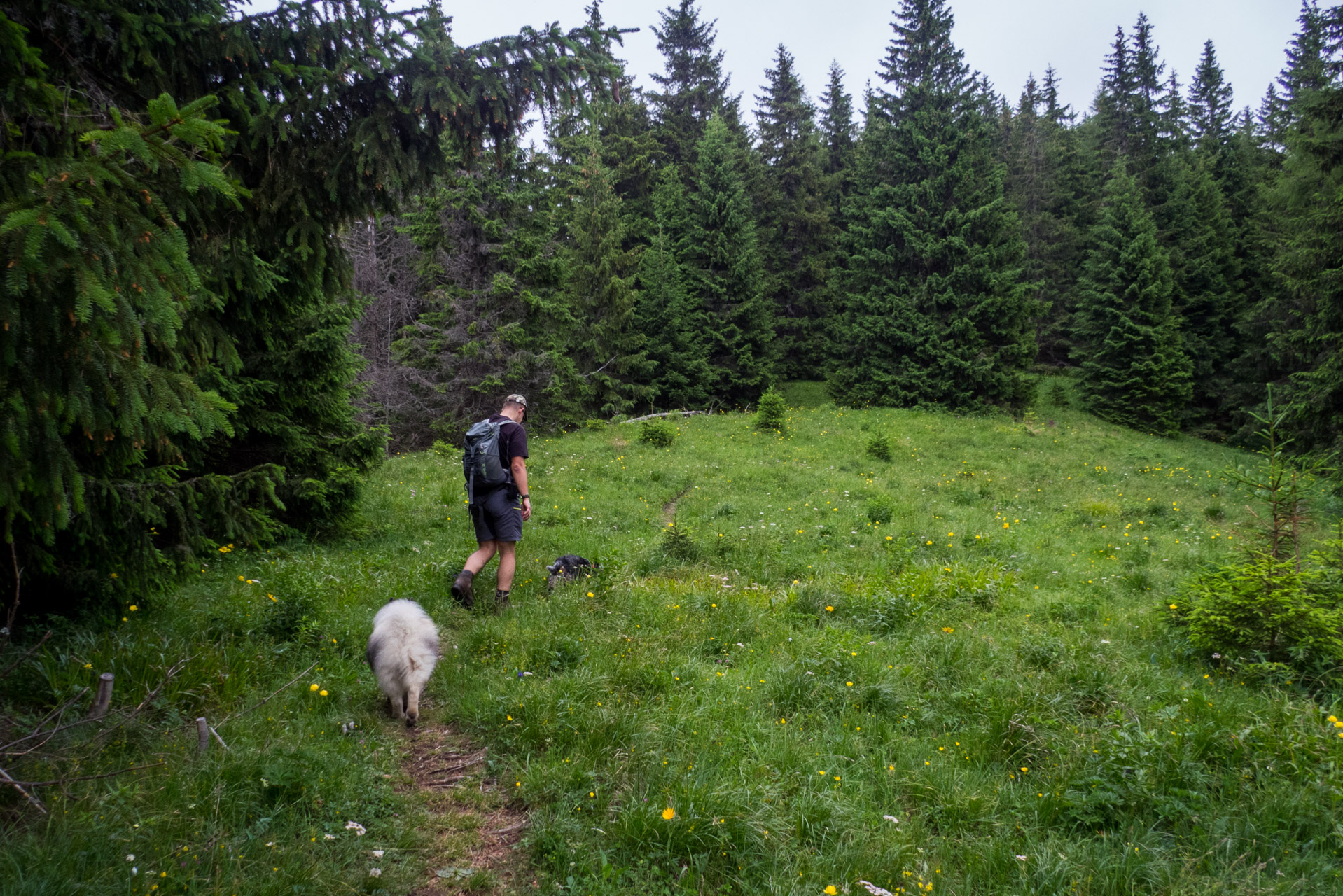 Krakova hoľa od ATC Bystrina (Nízke Tatry)