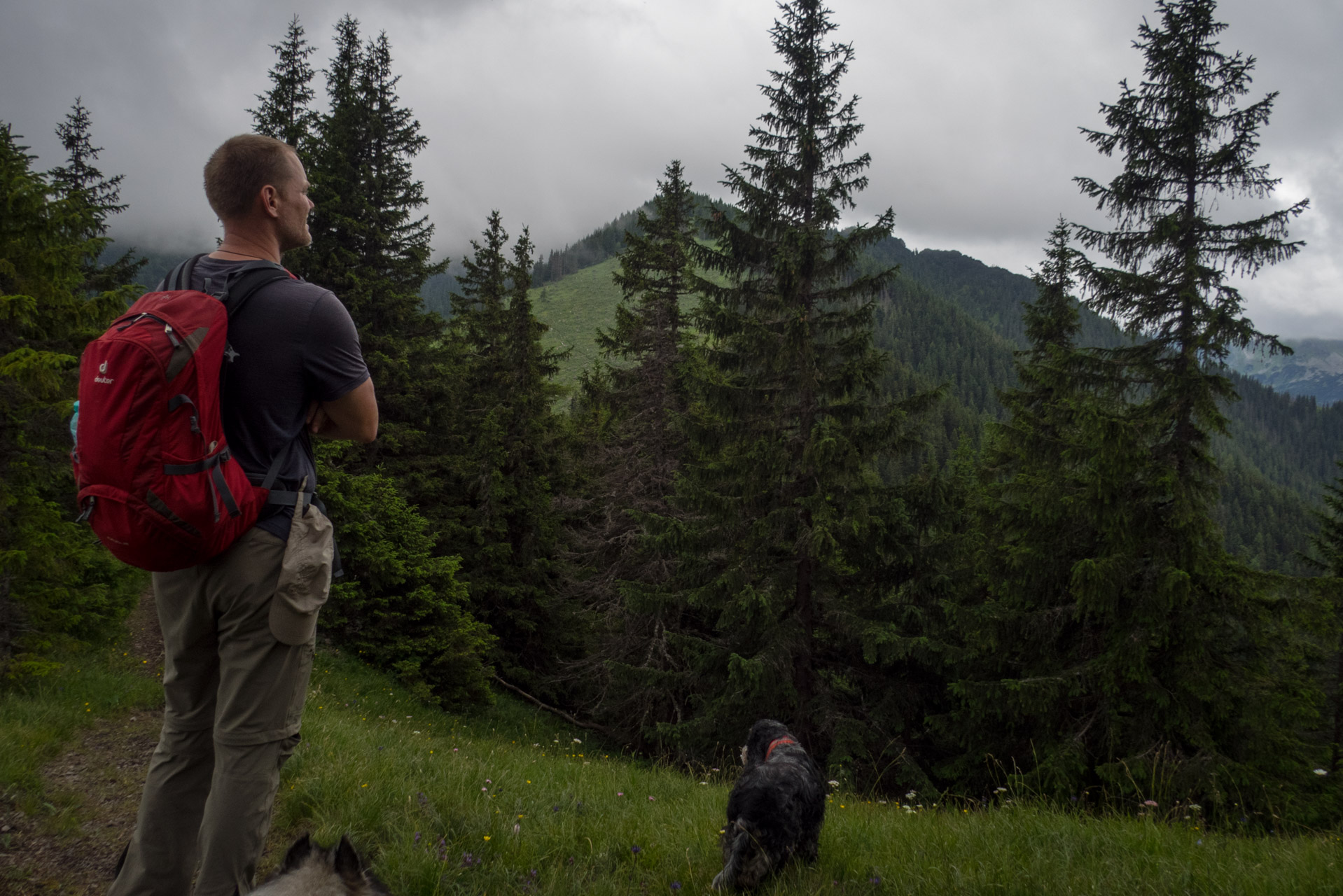 Krakova hoľa od ATC Bystrina (Nízke Tatry)