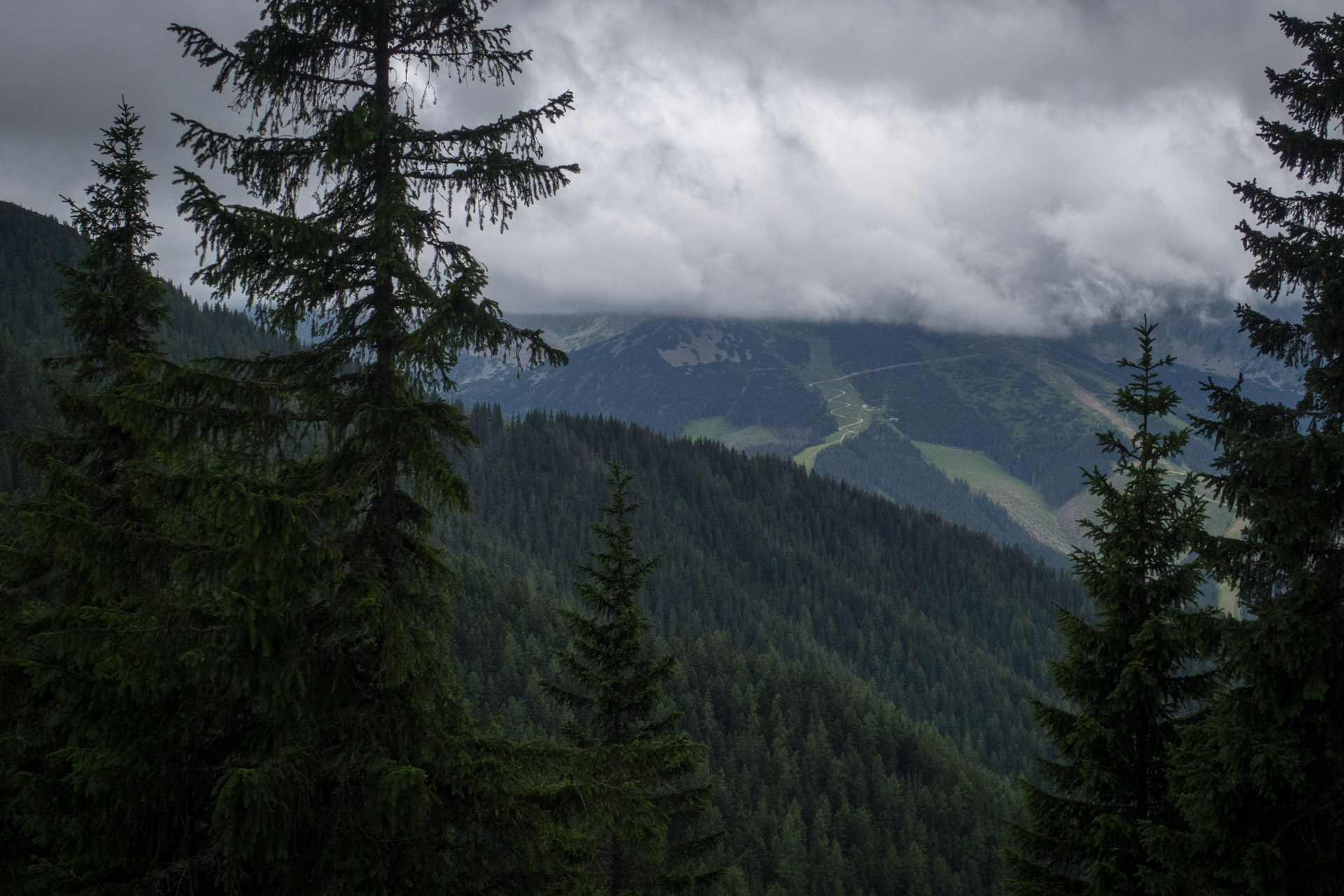 Krakova hoľa od ATC Bystrina (Nízke Tatry)