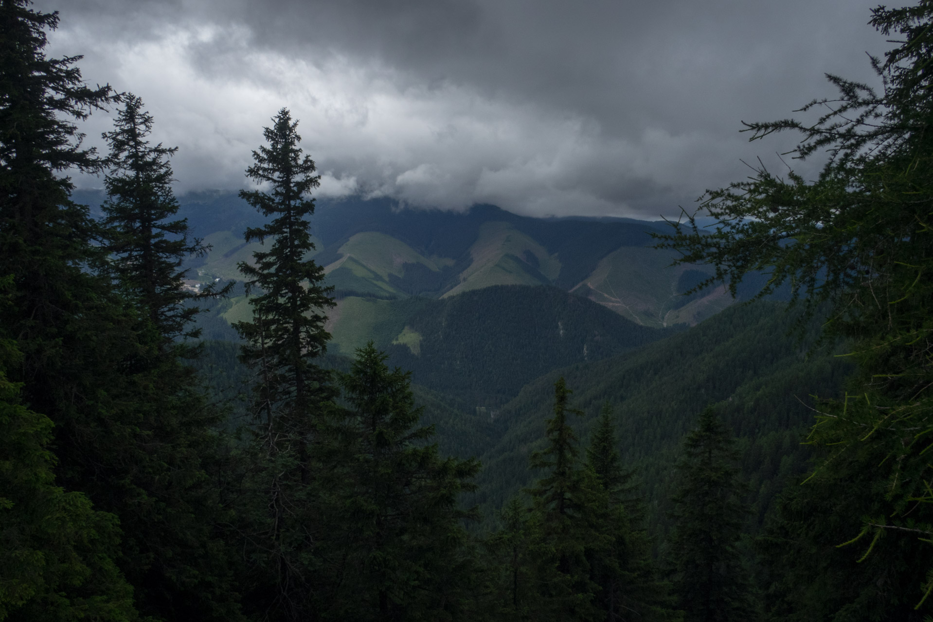 Krakova hoľa od ATC Bystrina (Nízke Tatry)