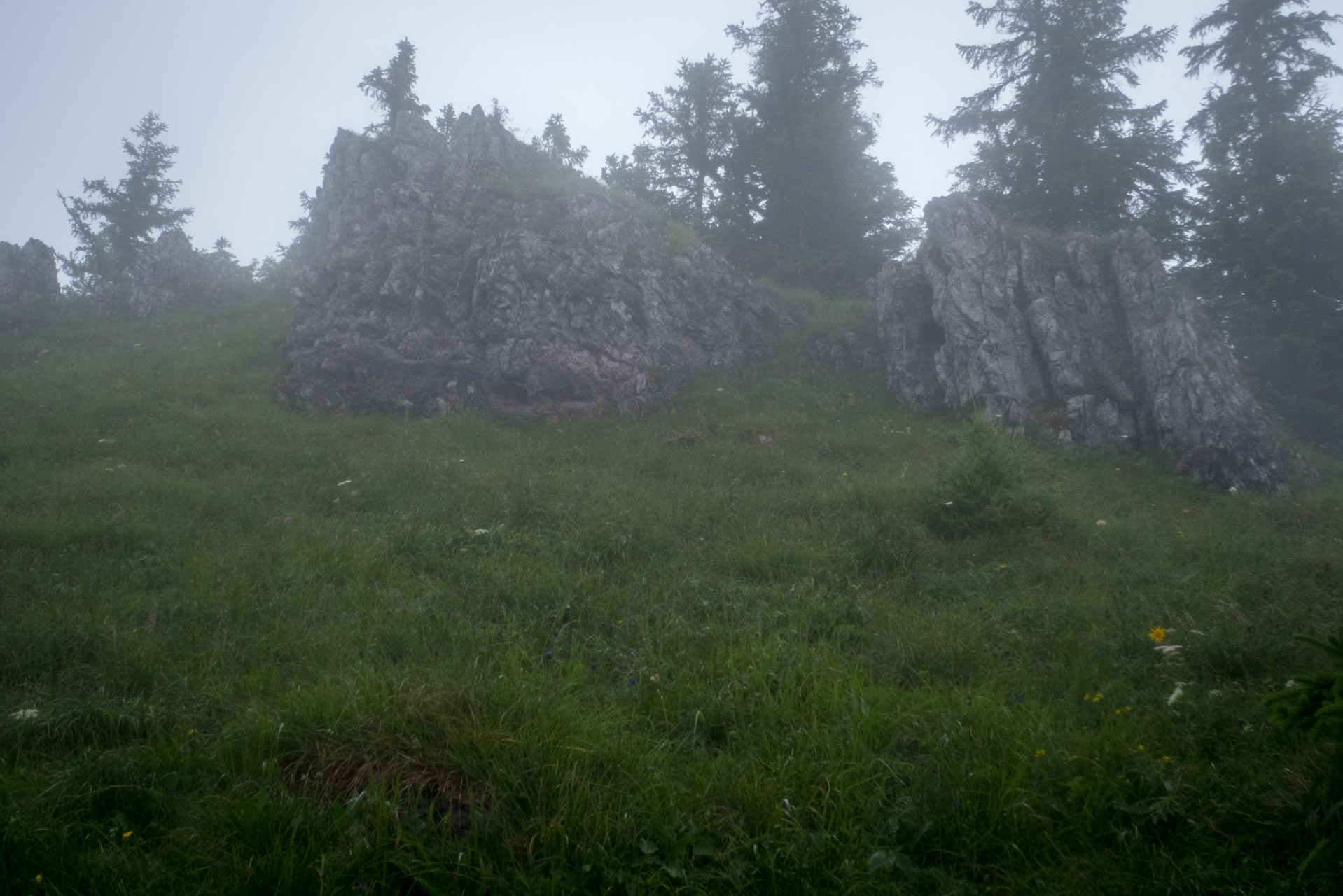 Krakova hoľa od ATC Bystrina (Nízke Tatry)