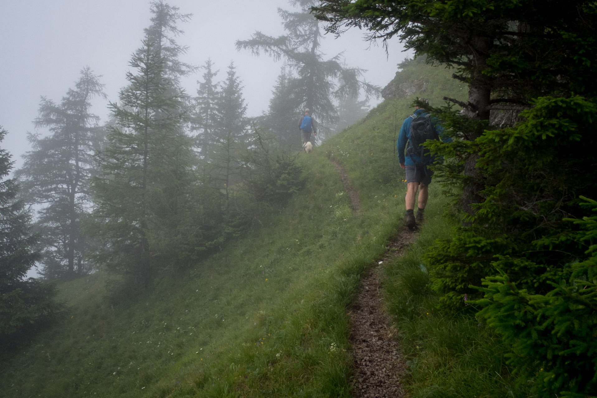 Krakova hoľa od ATC Bystrina (Nízke Tatry)