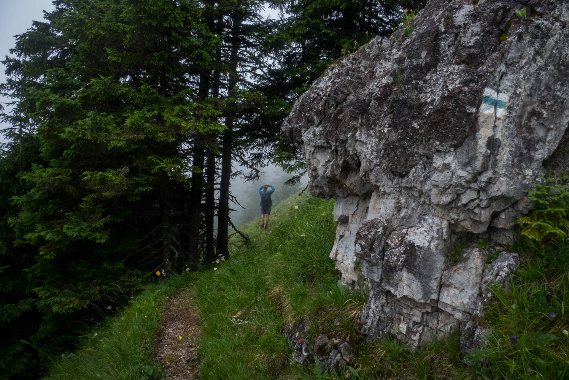 Krakova hoľa od ATC Bystrina (Nízke Tatry)