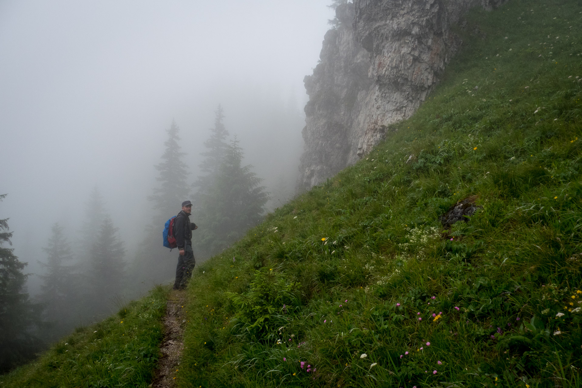 Krakova hoľa od ATC Bystrina (Nízke Tatry)