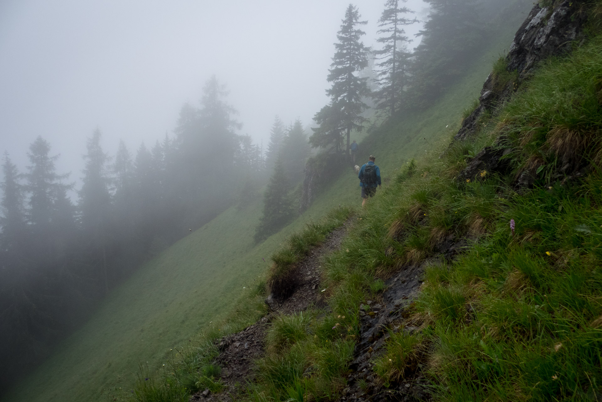 Krakova hoľa od ATC Bystrina (Nízke Tatry)