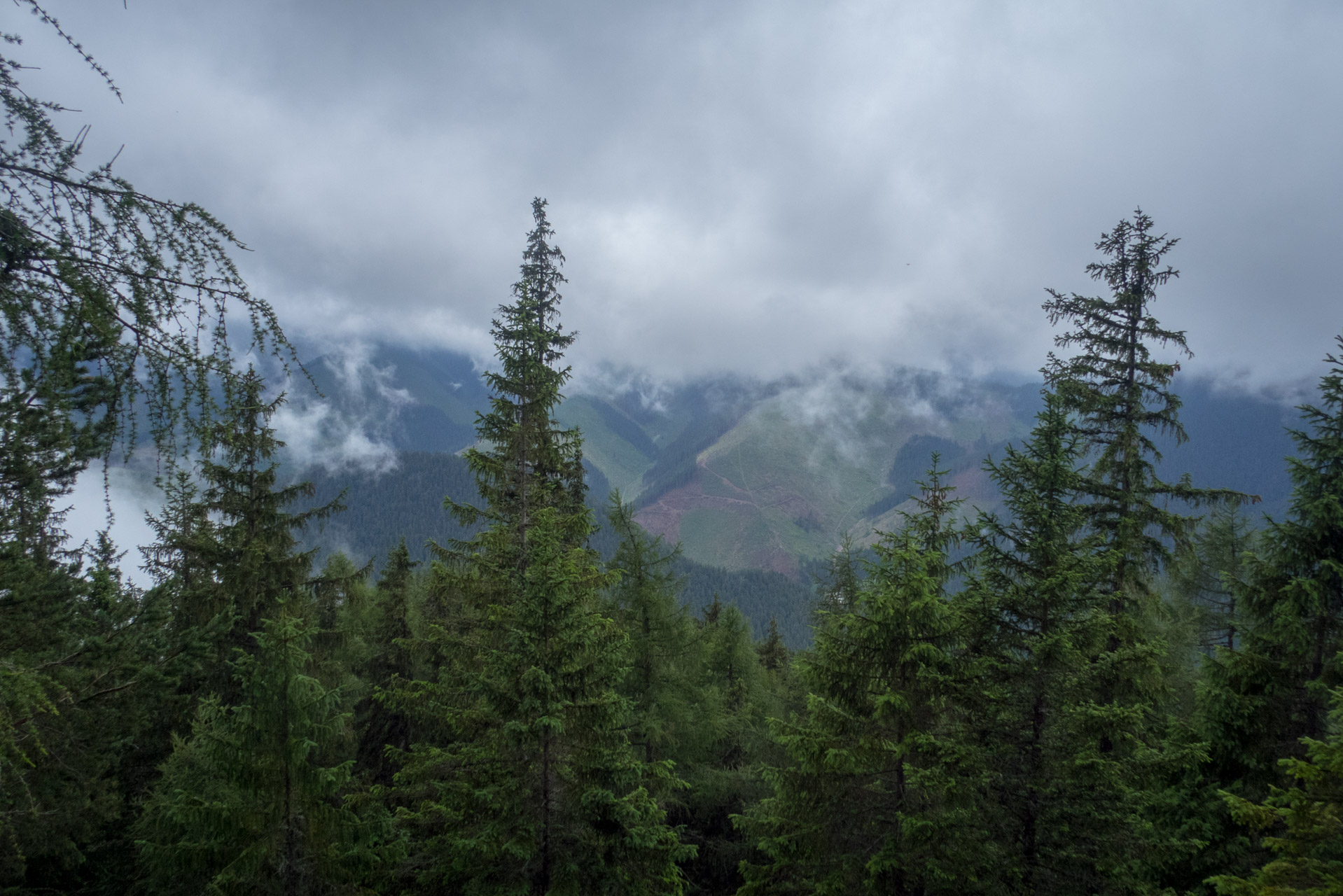 Krakova hoľa od ATC Bystrina (Nízke Tatry)