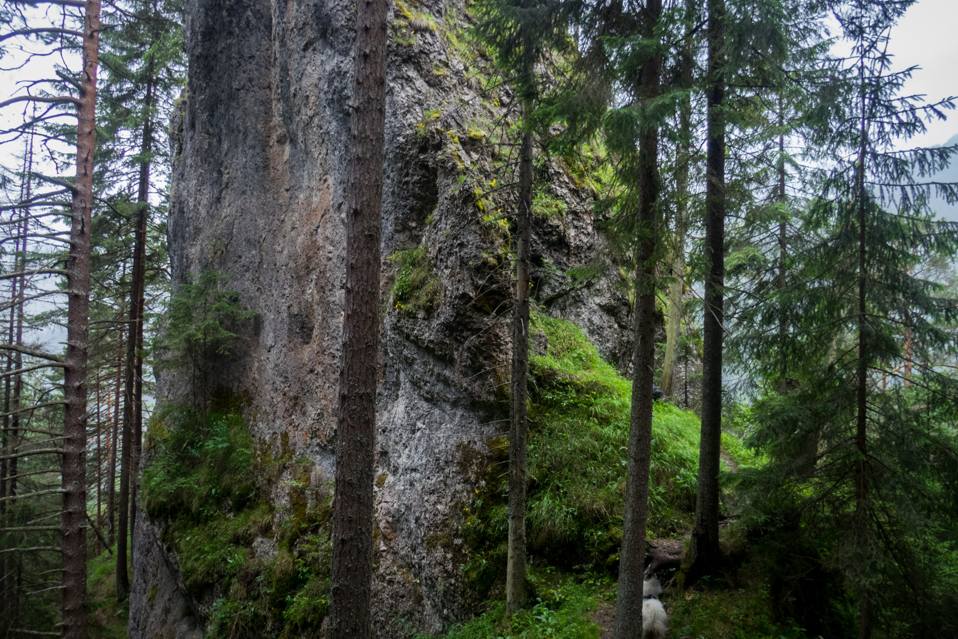 Krakova hoľa od ATC Bystrina (Nízke Tatry)