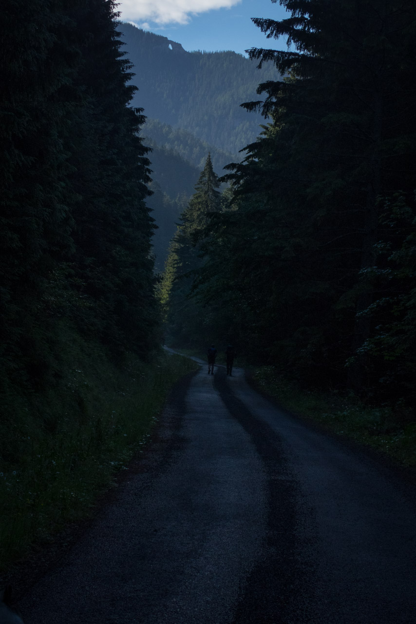 Krakova hoľa od Stanišovskej doliny, ústie (Nízke Tatry)