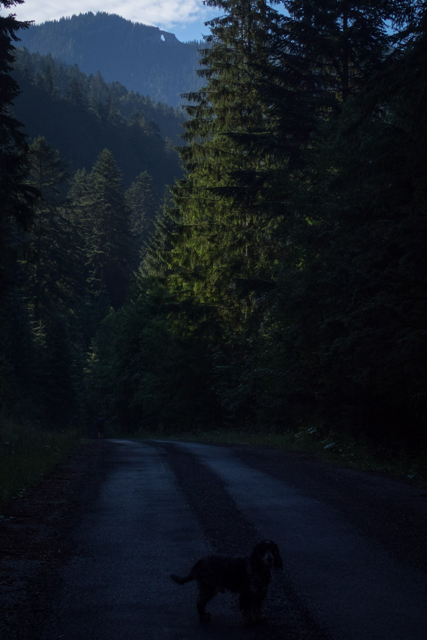 Krakova hoľa od Stanišovskej doliny, ústie (Nízke Tatry)