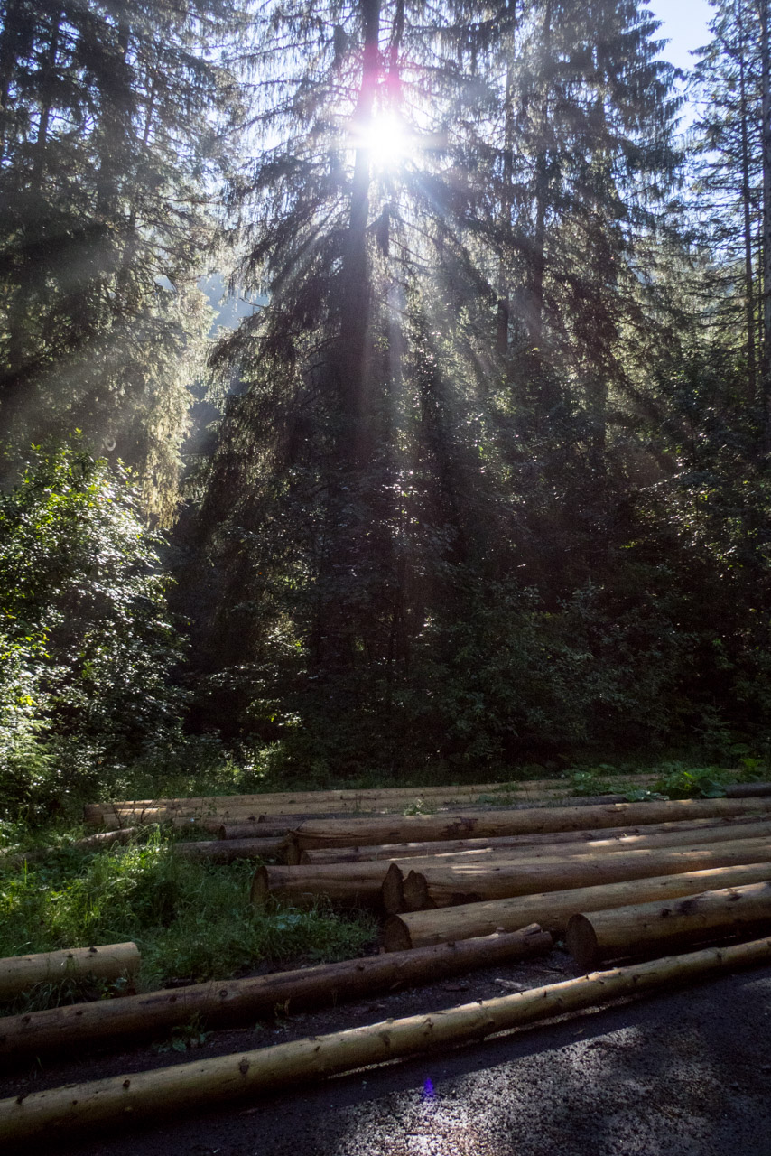 Krakova hoľa od Stanišovskej doliny, ústie (Nízke Tatry)