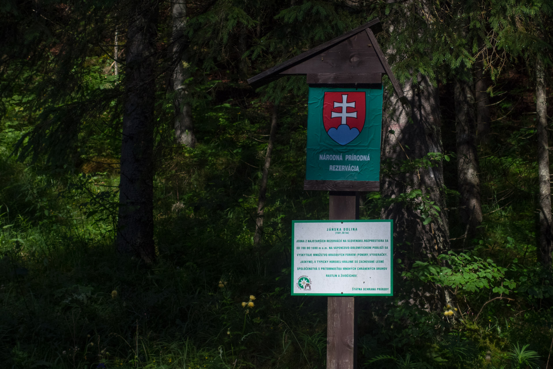 Krakova hoľa od Stanišovskej doliny, ústie (Nízke Tatry)