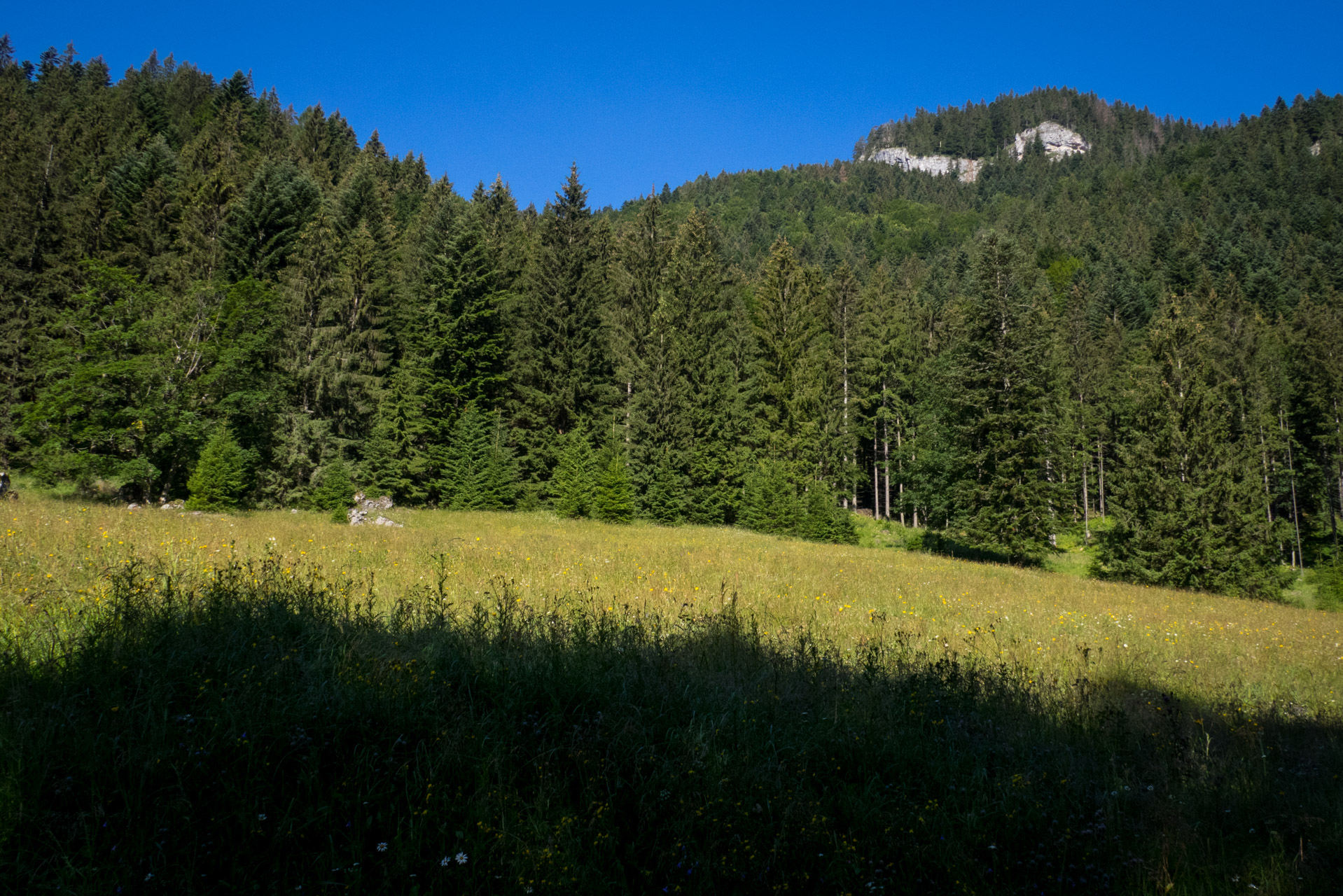 Krakova hoľa od Stanišovskej doliny, ústie (Nízke Tatry)