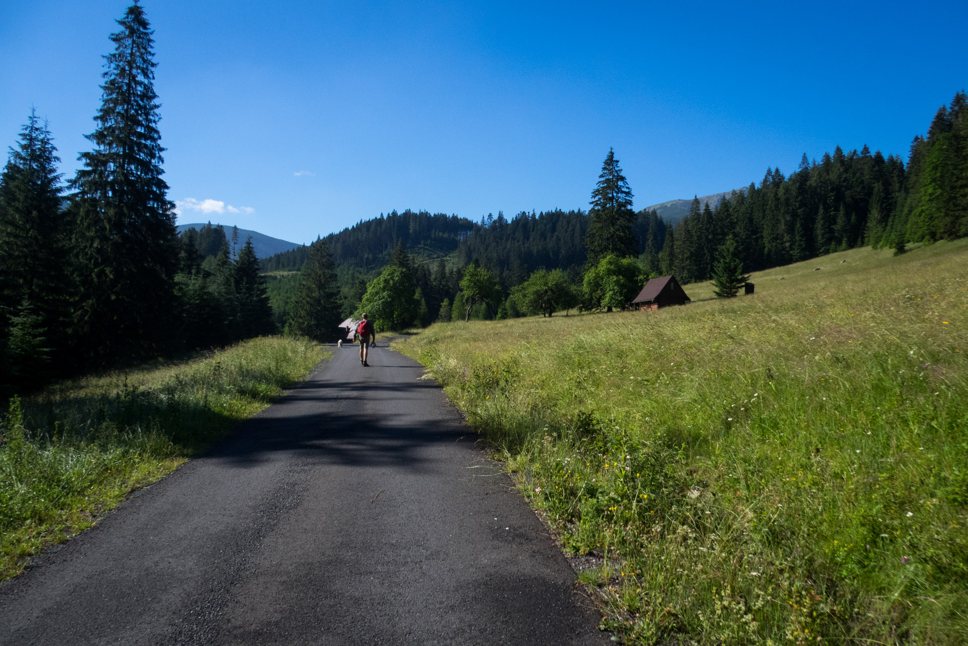 Krakova hoľa od Stanišovskej doliny, ústie (Nízke Tatry)