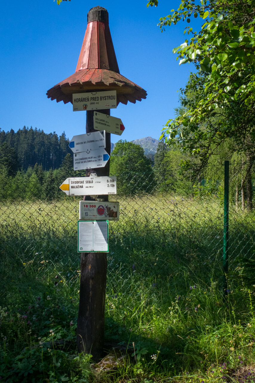 Krakova hoľa od Stanišovskej doliny, ústie (Nízke Tatry)