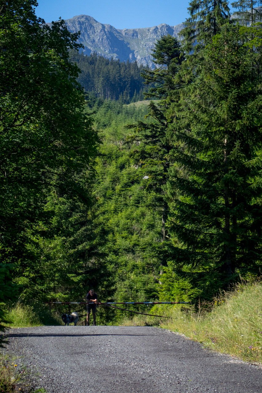 Krakova hoľa od Stanišovskej doliny, ústie (Nízke Tatry)