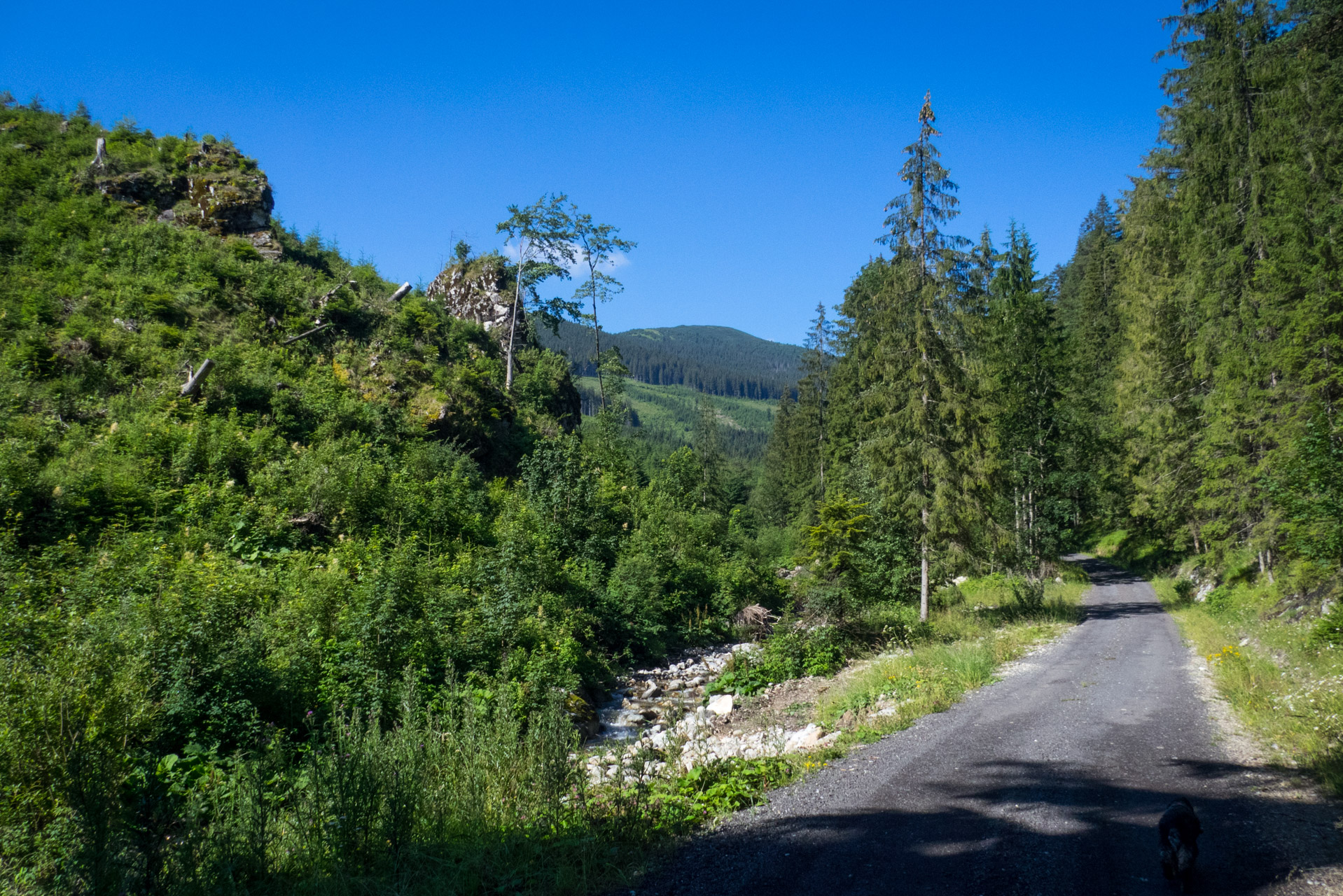 Krakova hoľa od Stanišovskej doliny, ústie (Nízke Tatry)