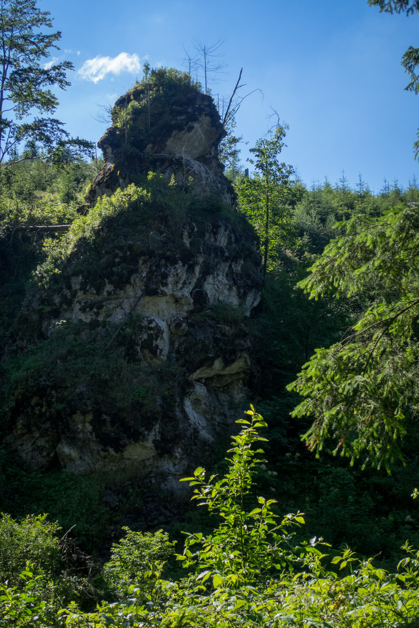 Krakova hoľa od Stanišovskej doliny, ústie (Nízke Tatry)