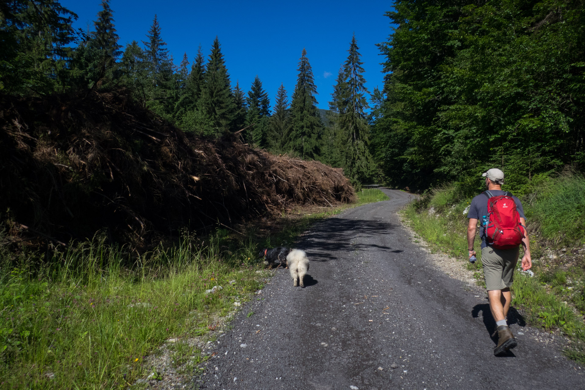 Krakova hoľa od Stanišovskej doliny, ústie (Nízke Tatry)