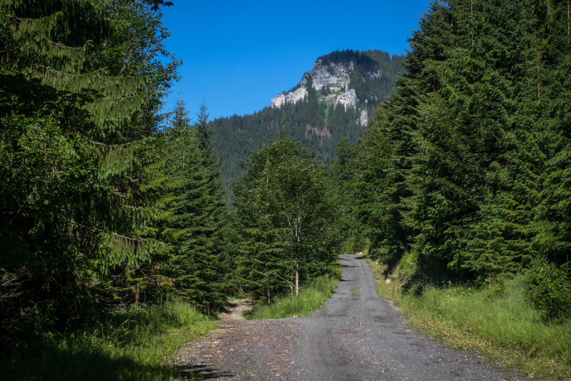 Krakova hoľa od Stanišovskej doliny, ústie (Nízke Tatry)