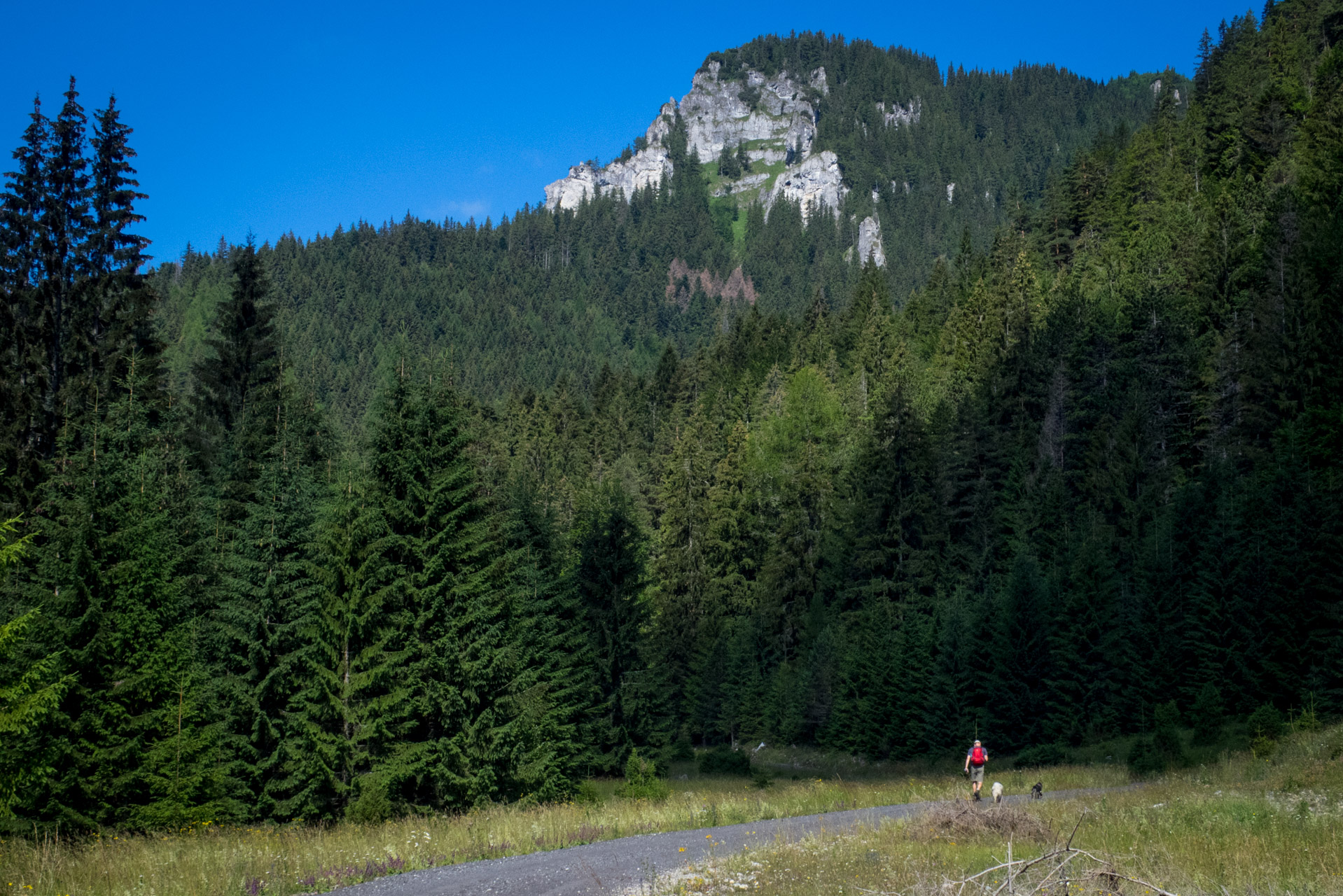 Krakova hoľa od Stanišovskej doliny, ústie (Nízke Tatry)