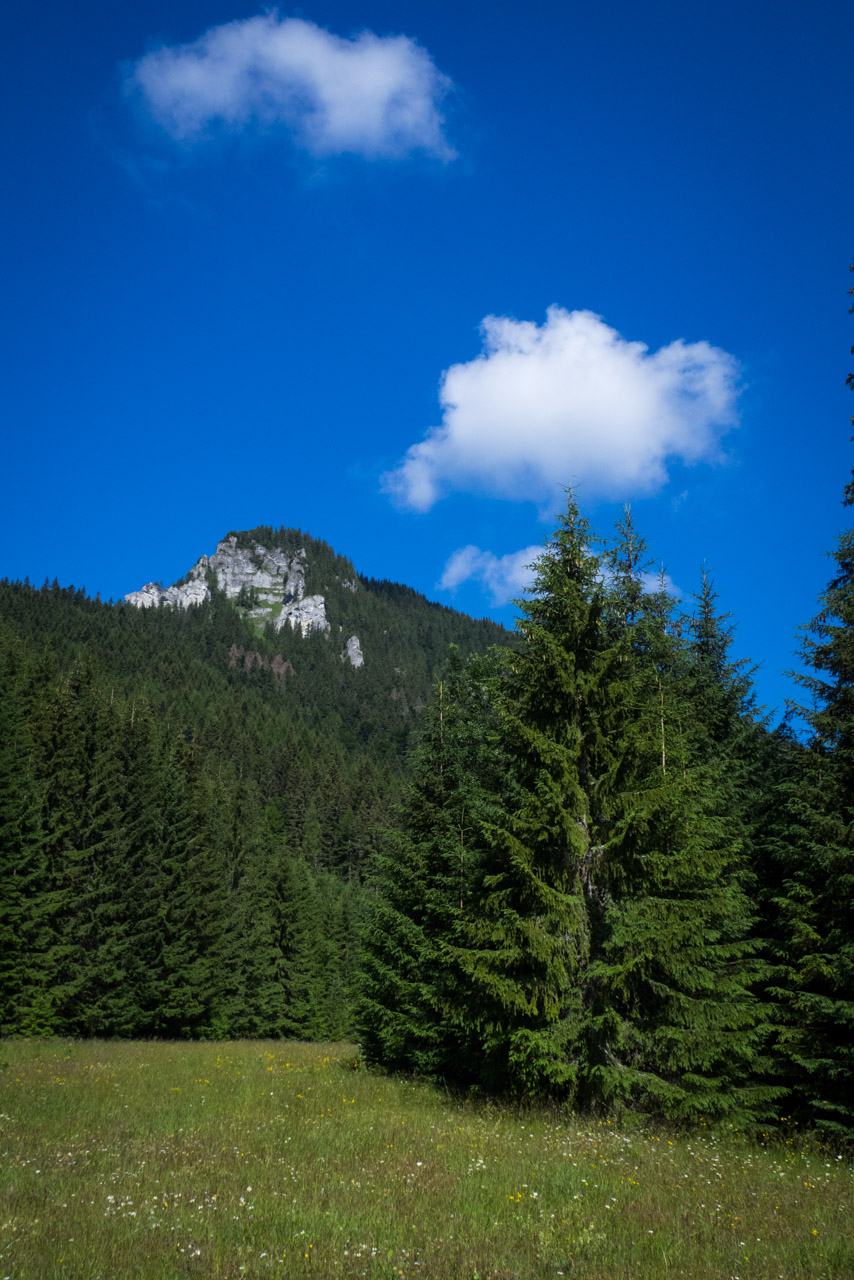 Krakova hoľa od Stanišovskej doliny, ústie (Nízke Tatry)