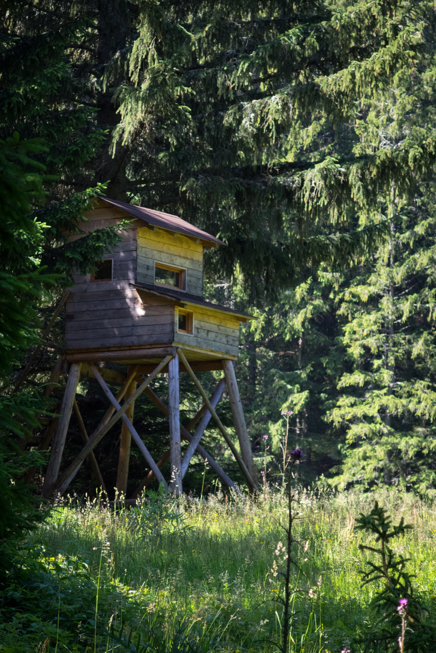 Krakova hoľa od Stanišovskej doliny, ústie (Nízke Tatry)