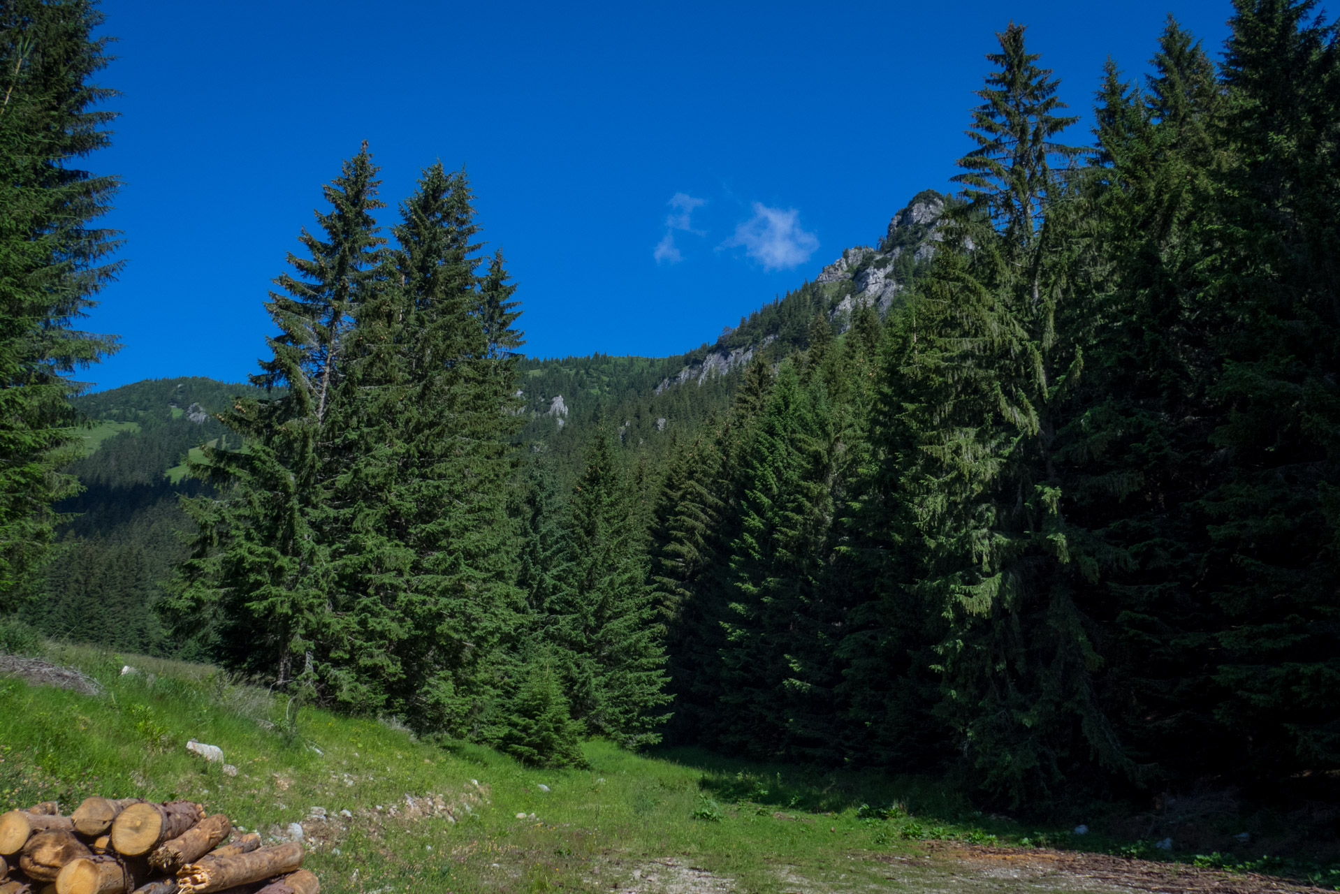 Krakova hoľa od Stanišovskej doliny, ústie (Nízke Tatry)